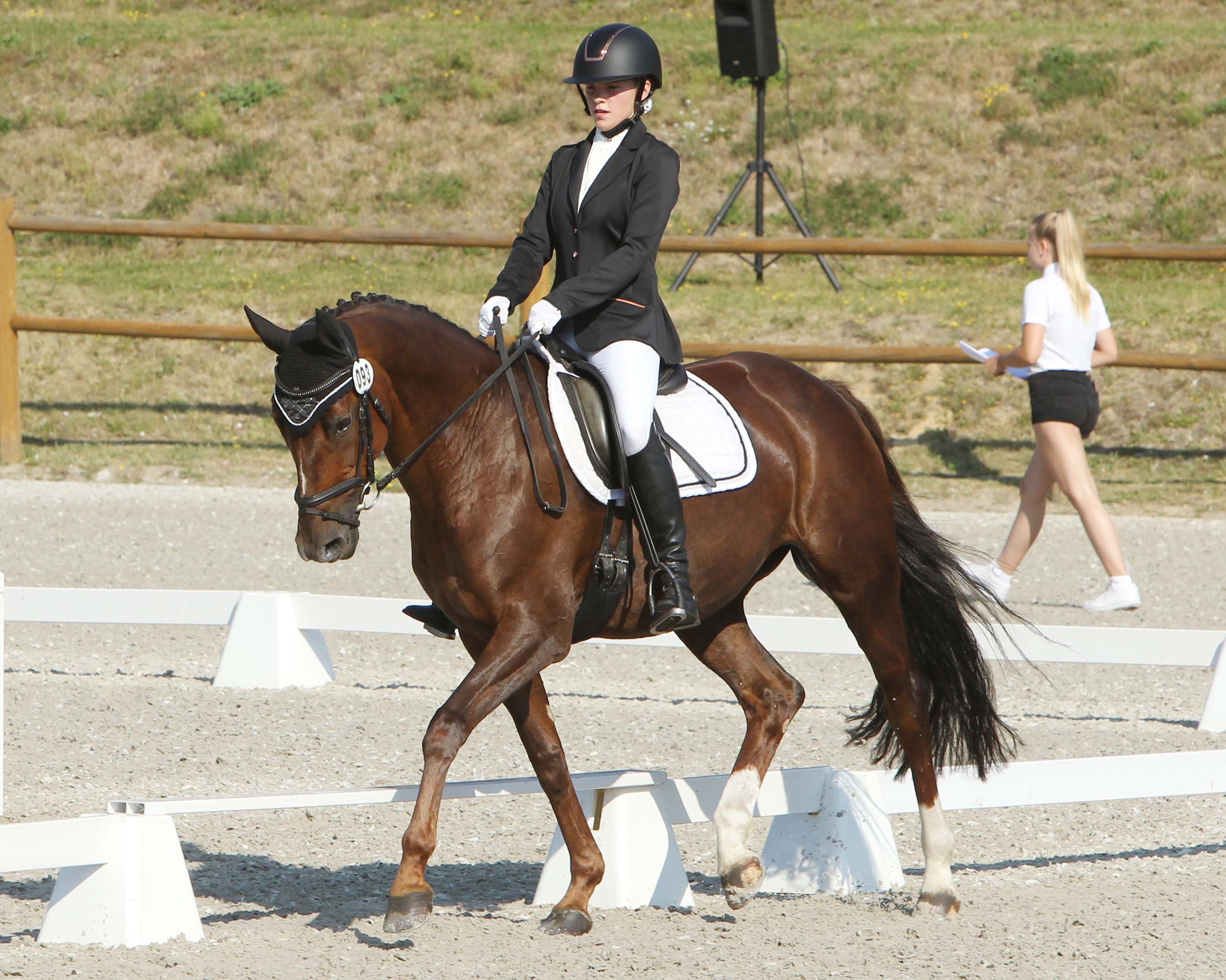 Die A-Dressur Aufgabe A11 hat Leela Meta Segebard aus Wusterhusen mit Patricia gewonnen. Foto: Jutta Wego