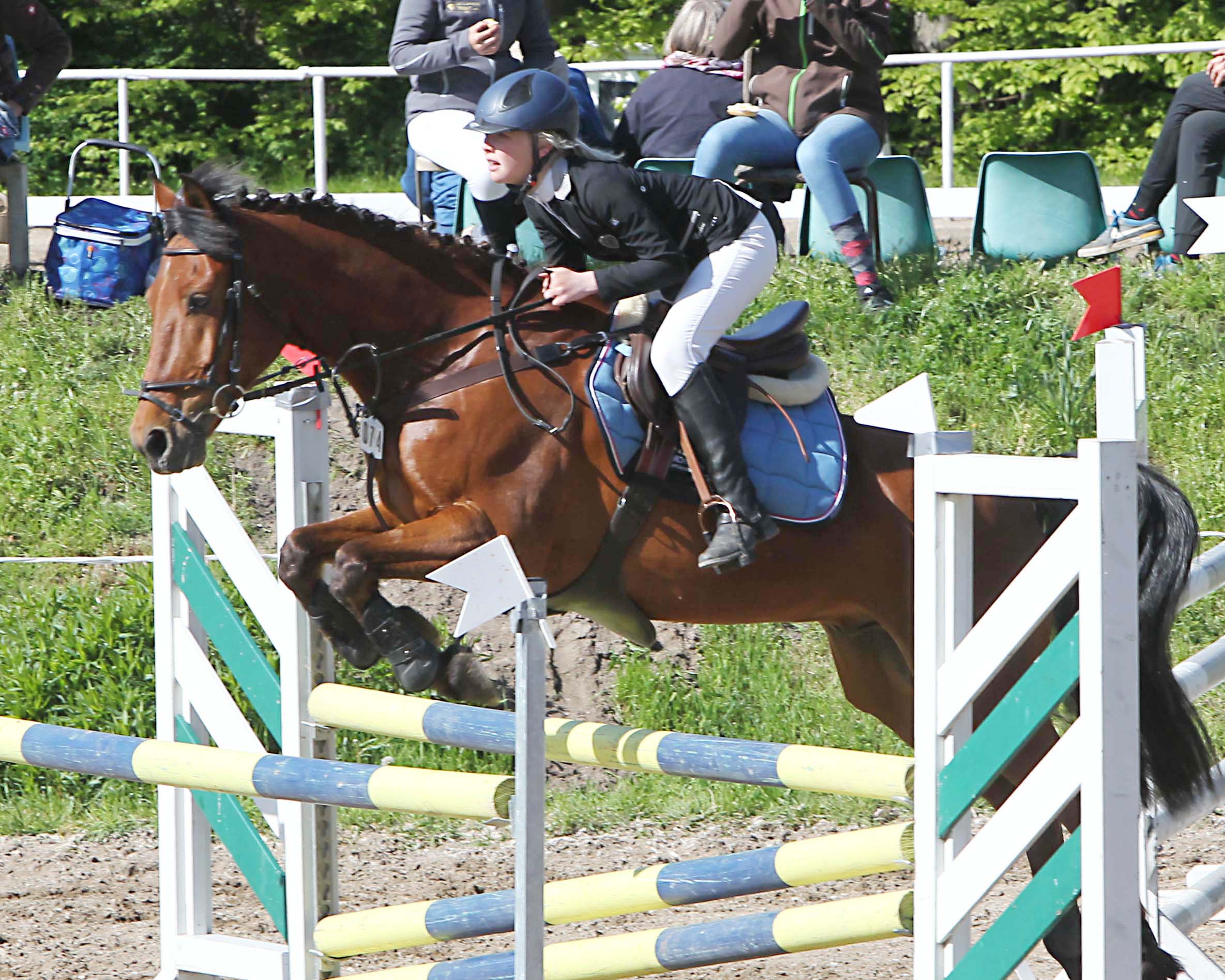 Sicher, clever, abgeklärt: Die 11-jährige Emma Wiktor aus Trent ließ der Konkurenz in Groß Stubben keine Chance und gewann das Hauptspringen der Klasse L auf Pony Darwin. Foto: Jutta Wego