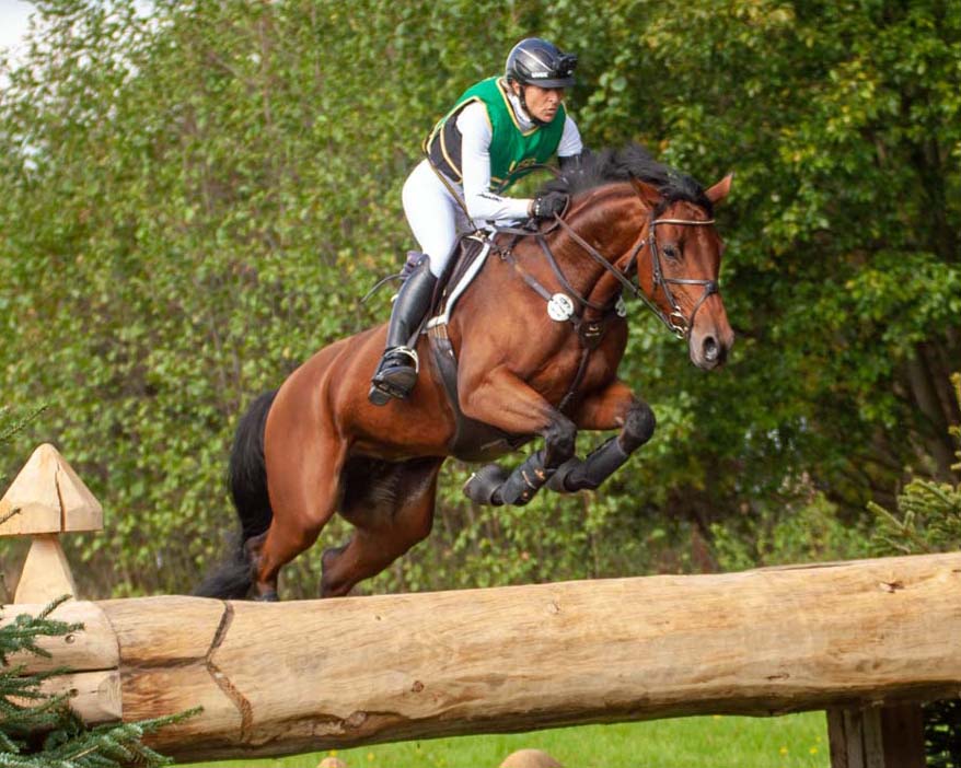 Mit der Stute SAP Asha P reitet Ingrid Klimke in Luhmühlen zu ihrem fünften Deutschen Meister Titel. Foto: KaLo