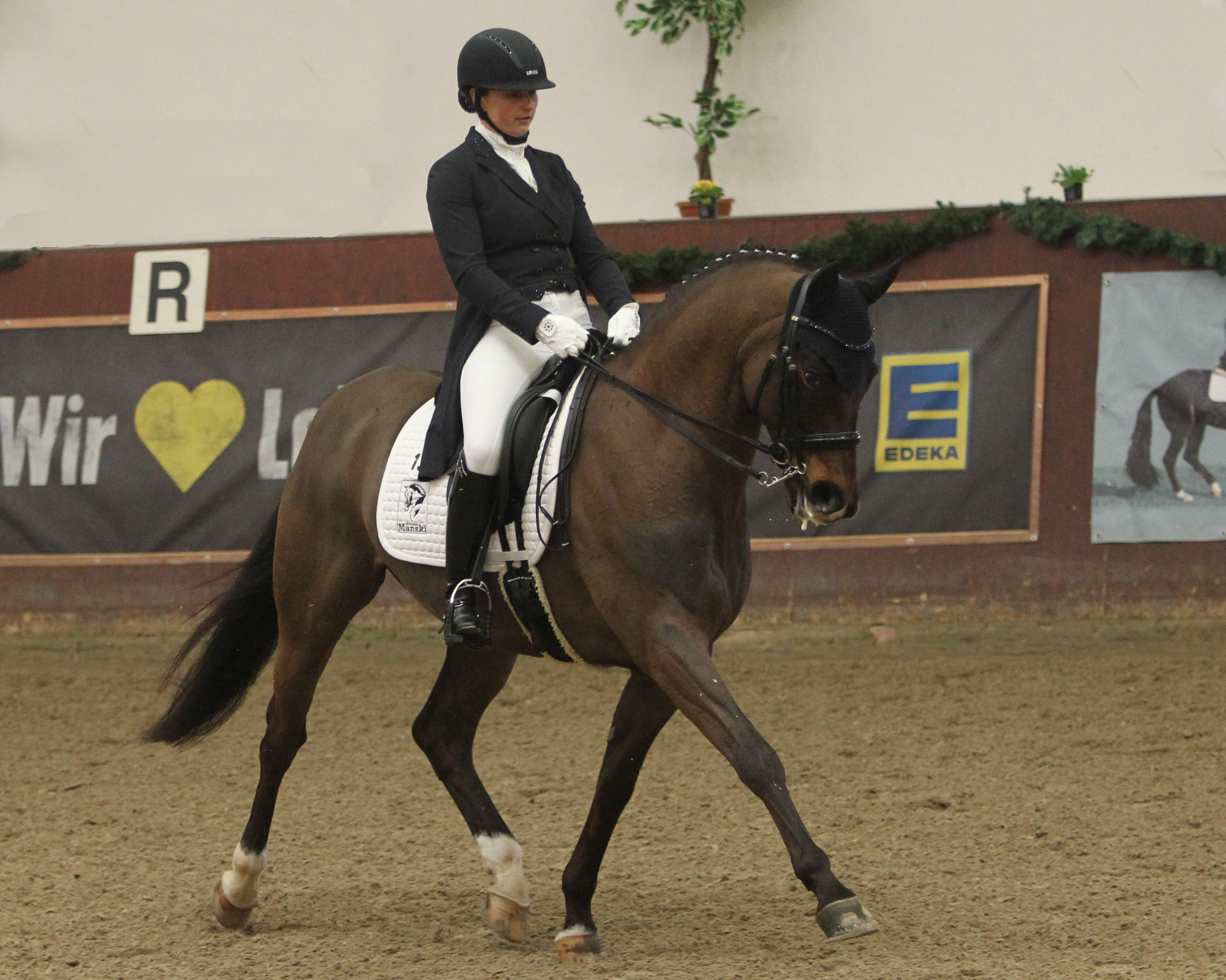 Es war das erfolgreichste Wochenende in der Cavallo-Arena zu Güstrow für Susanne Voß. Die 35-Jährige gewann die M- und S-Dressur mit San Amour und kam zu insgesamt vier Siegen. Foto: Jutta Wego