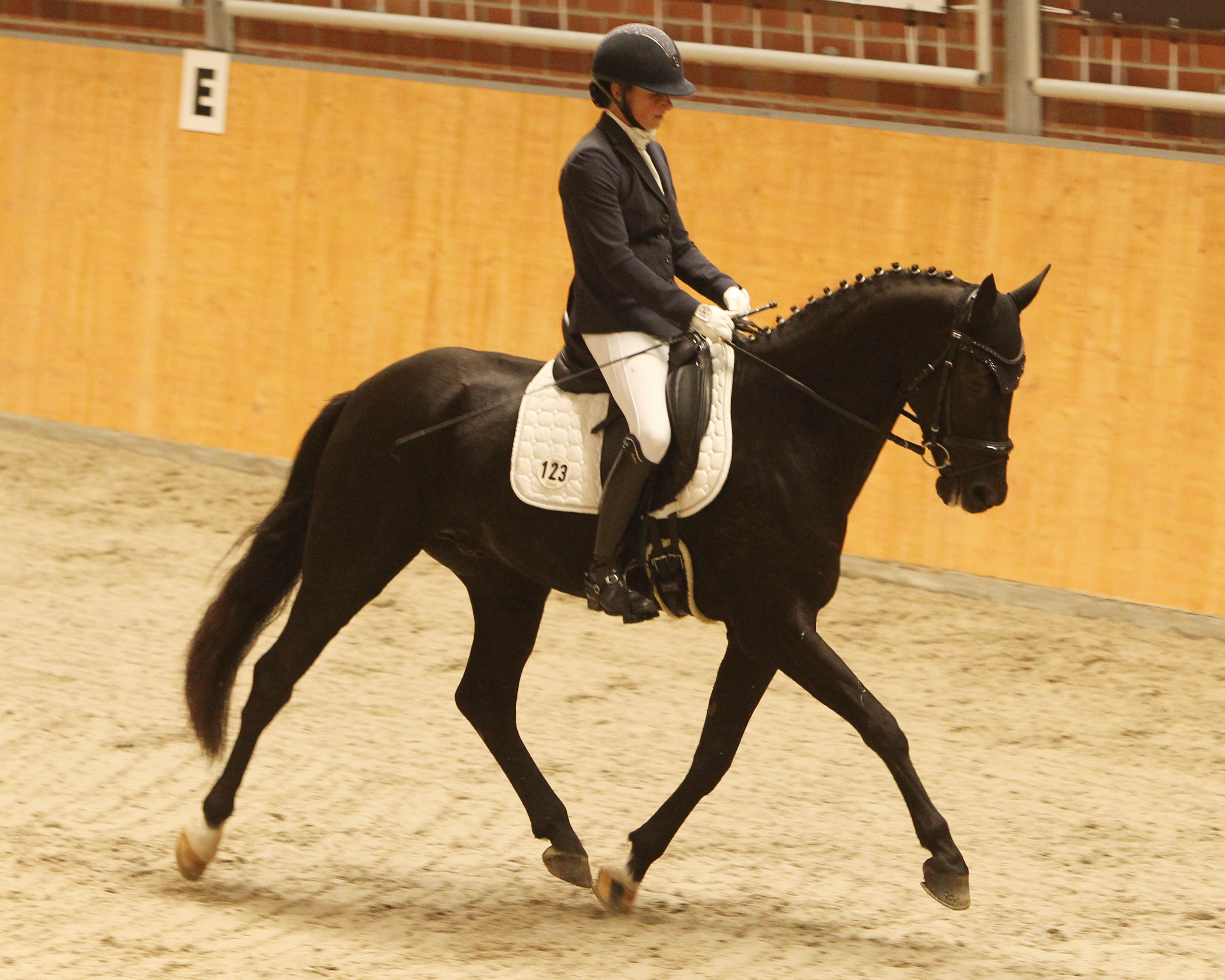 Den ersten von vier Siegen beim Dressurturnier in der Cavallo-Arena zu Güstrow holte sich Susanne Voß mit dem 5-jährigen Senzai in der Dressurpferdeprüfung Klasse A. Foto: Jutta Wego