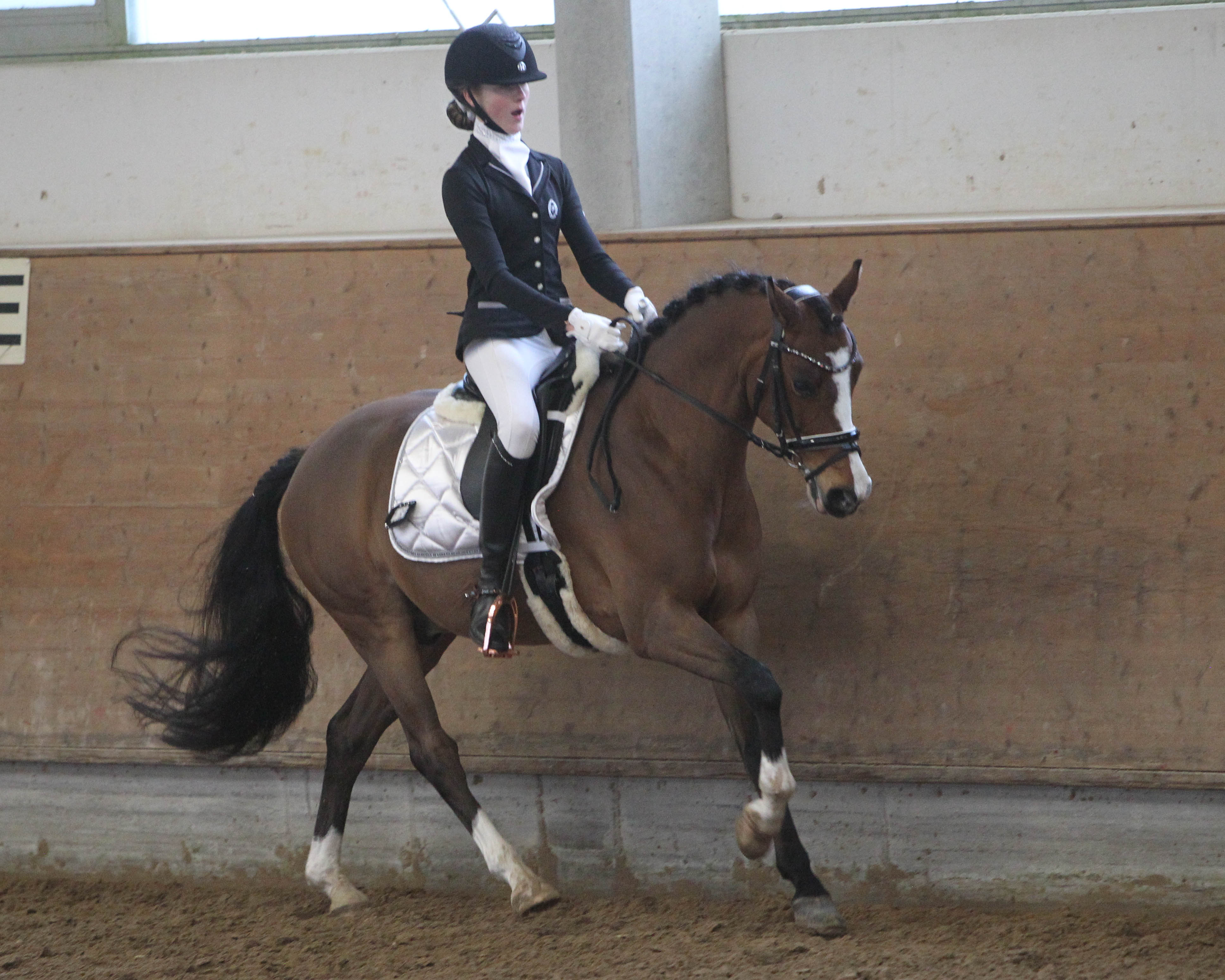 Die 14-Jähgrige Betty Bünning aus Greifswald gewann mit ihrem 7-jährigen Deutschen Reitpony Bonaparte zwei der vier deutschlandweit ausgeschriebenen Ponyprüfungen beim Dressurturnier in Zierow. Foto: Jutta Wego