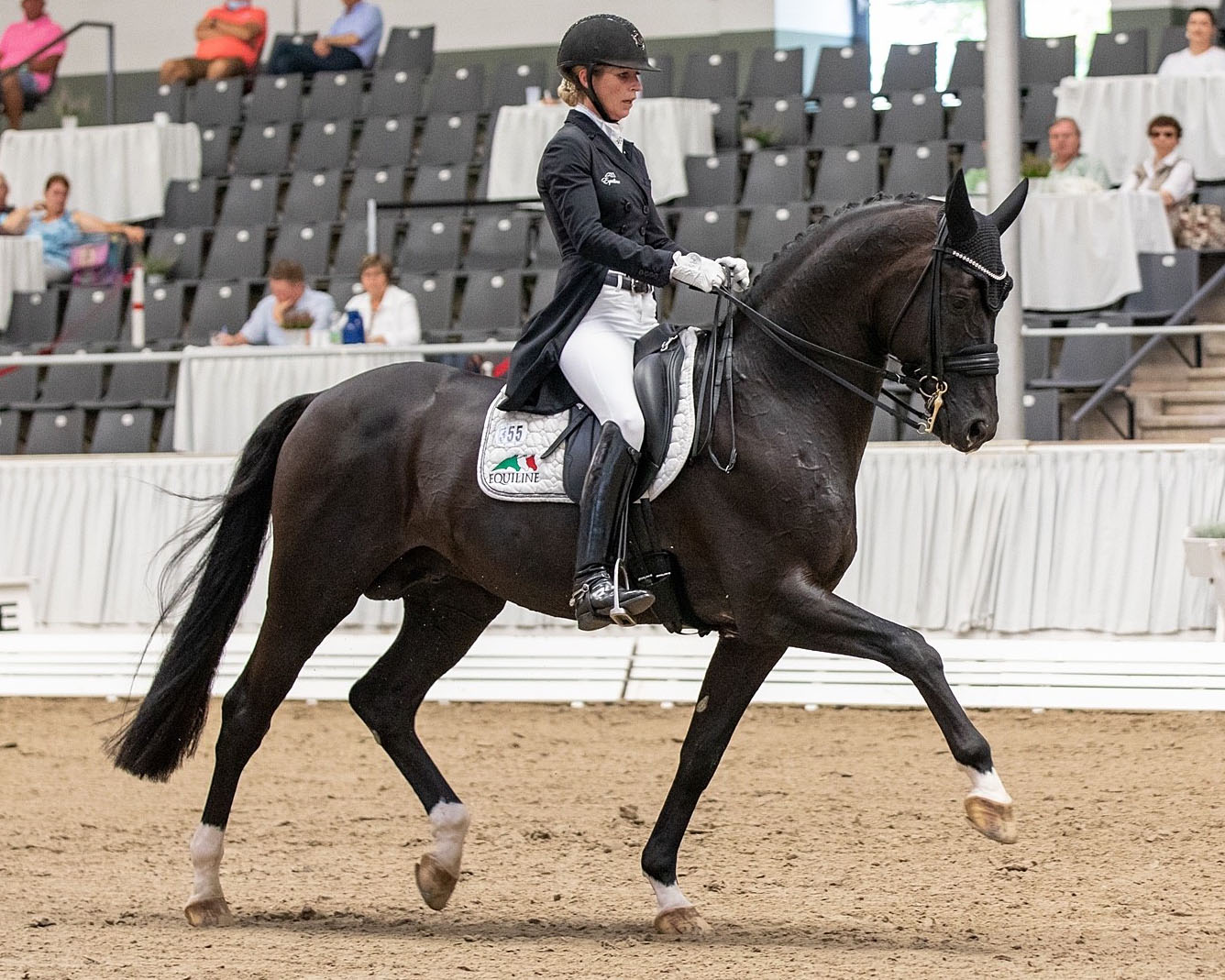 Die Niedersachsen-Halle war bereits im August Standort für Dressur pur - hier Isabell Freese mit Top Gear. Im Dezember sollen an gleicher Stelle die Weltmeisterschaften der Jungen Dressurpferde stattfinden. (Foto: J. Fellner)