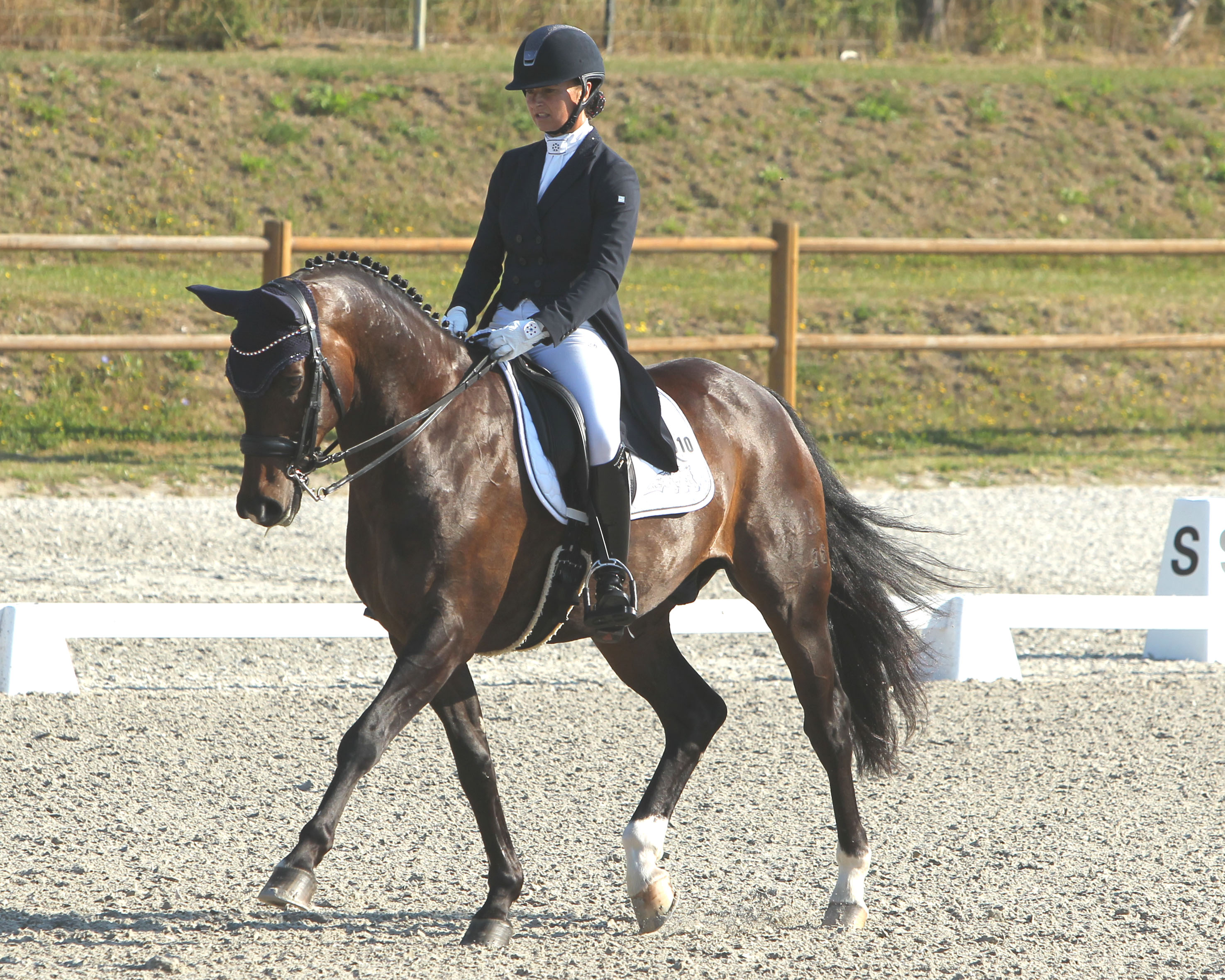 Susanne Voß mit San Amour, sie reitet für den RV Güstrow, der im Vereinsranking 15. ist. Foto: Jutta Wego 