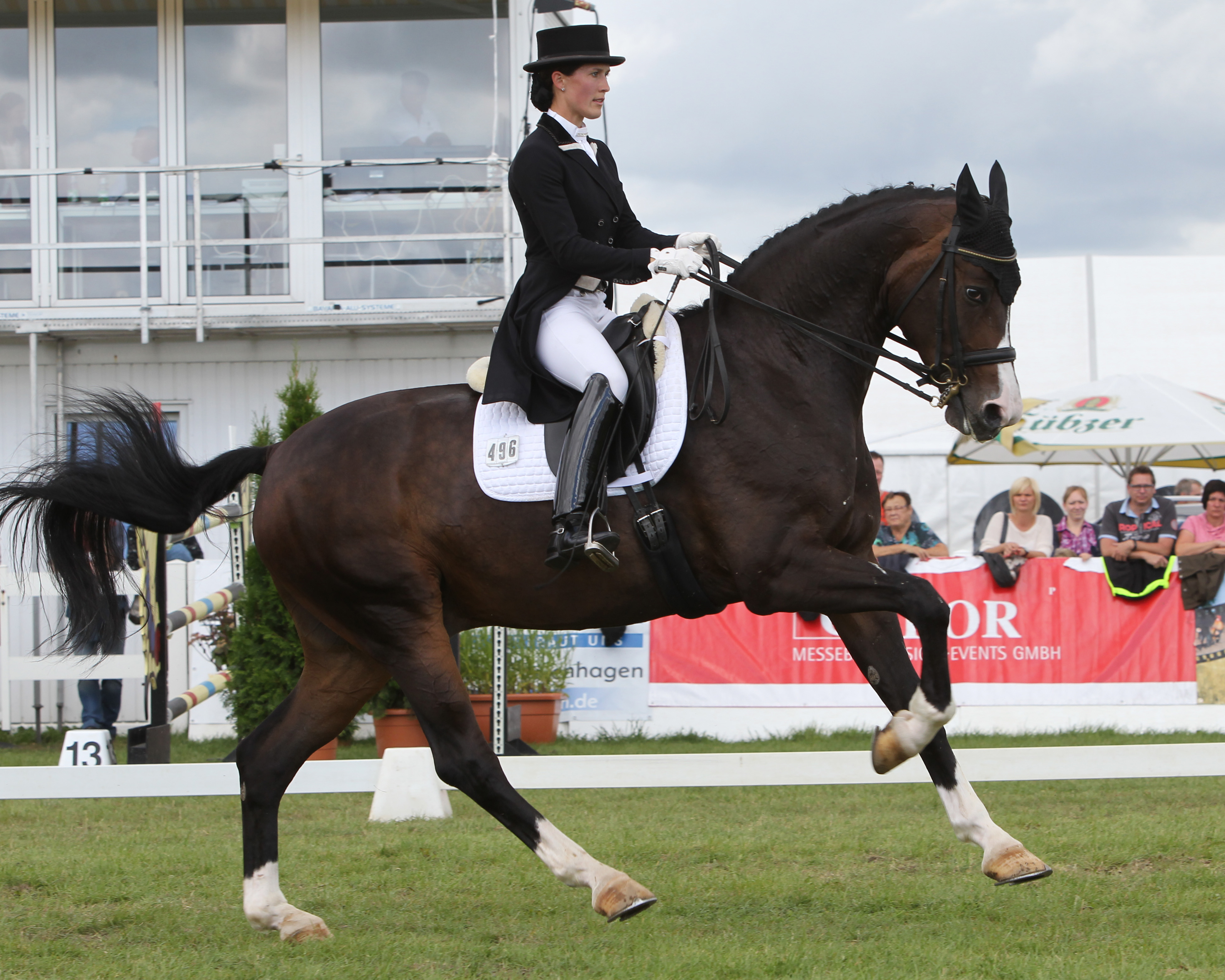 Syrio (Sancisco x Sandrit) mit Libuse Mencke.