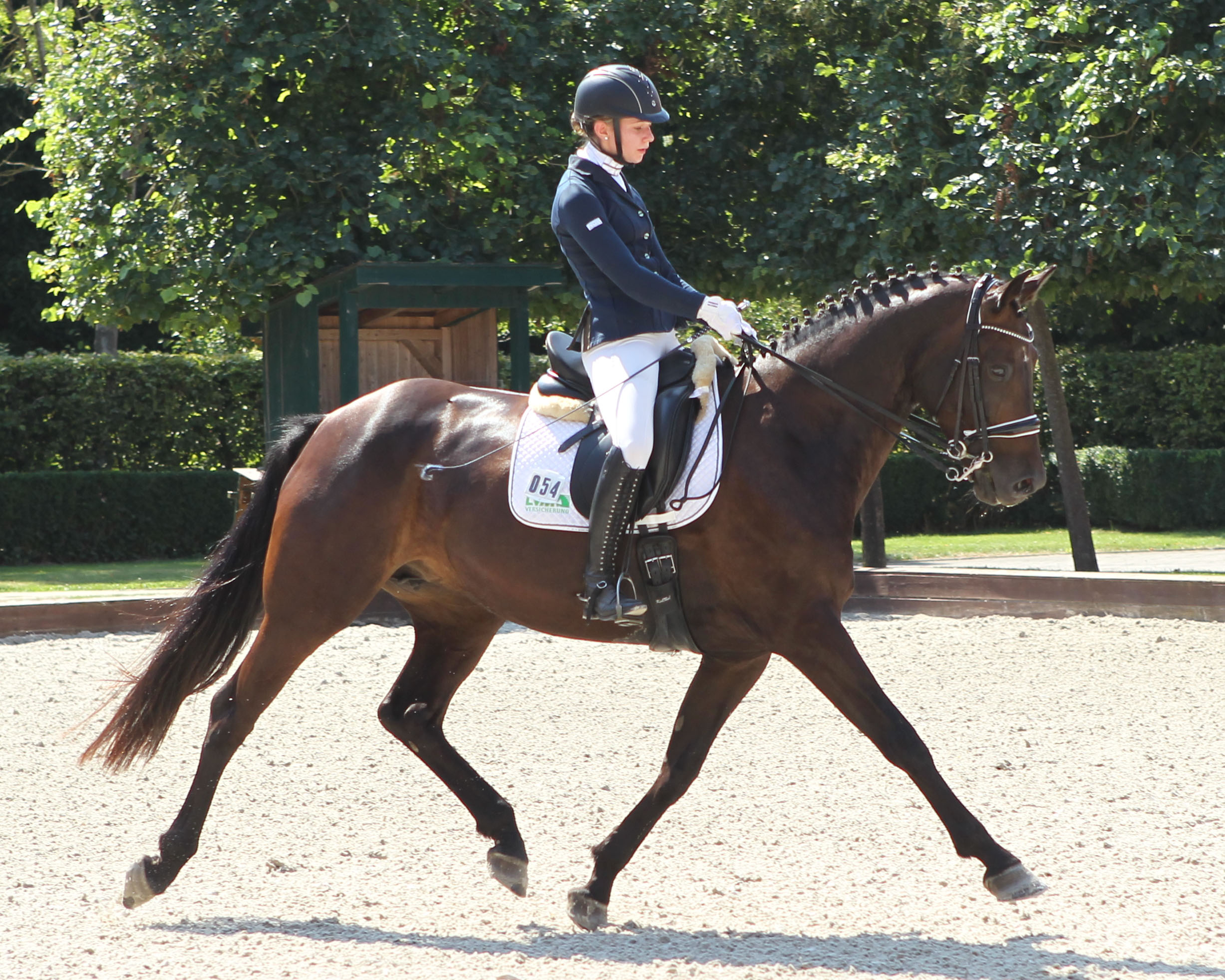 Donnerfee (D'Olympic x Samba Hit I) mit Carolina Romanowski.