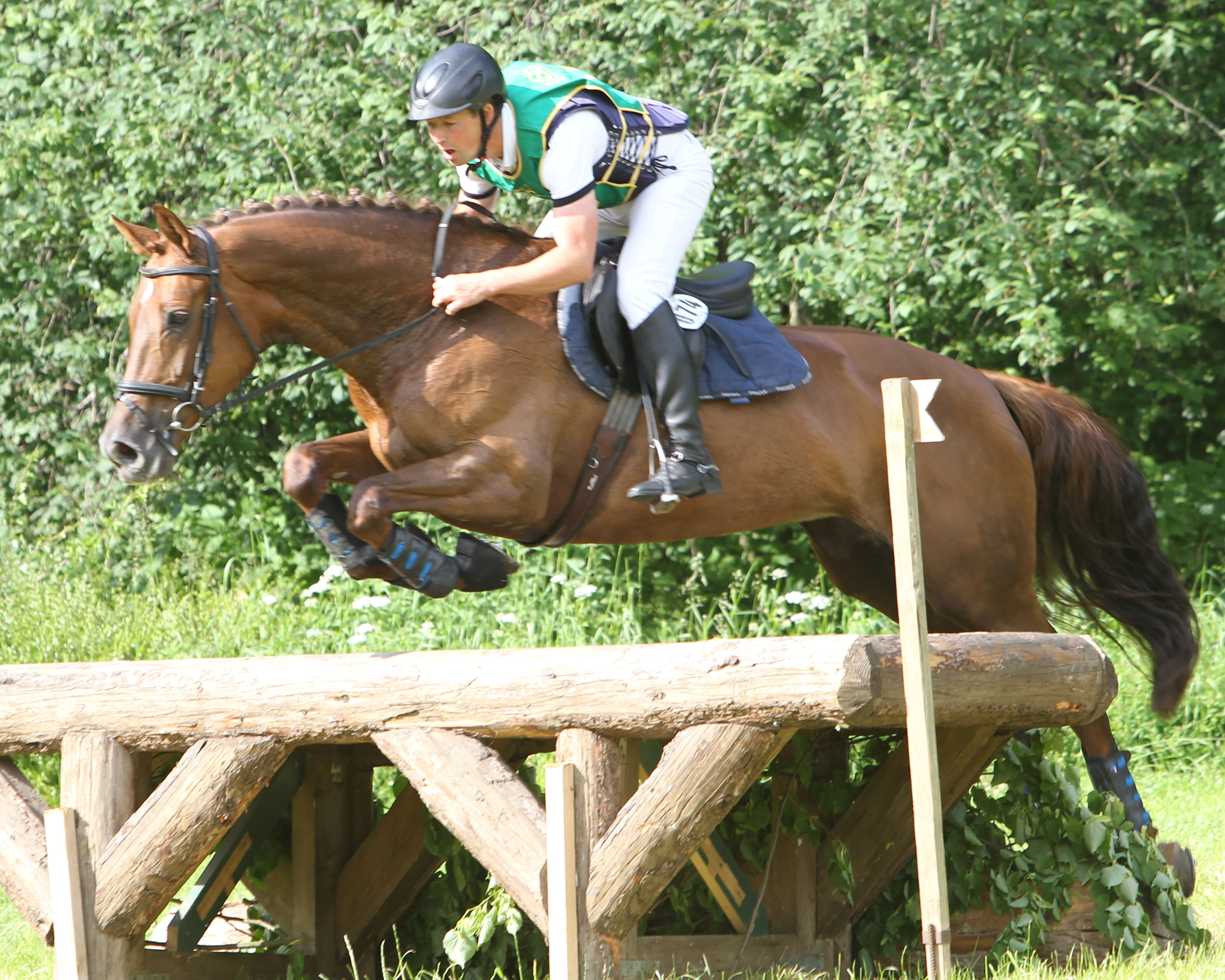 Donna Lena MV (D'Olympic x Meerwirbel xx) mit Andreas Brandt.