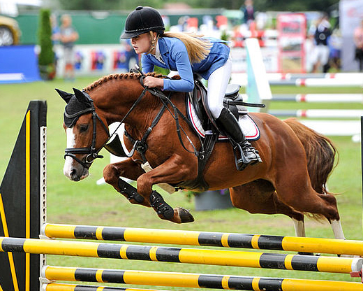 Colorado (Colonel x Rzewuski ox) mit Eva-Katharina Lüth.