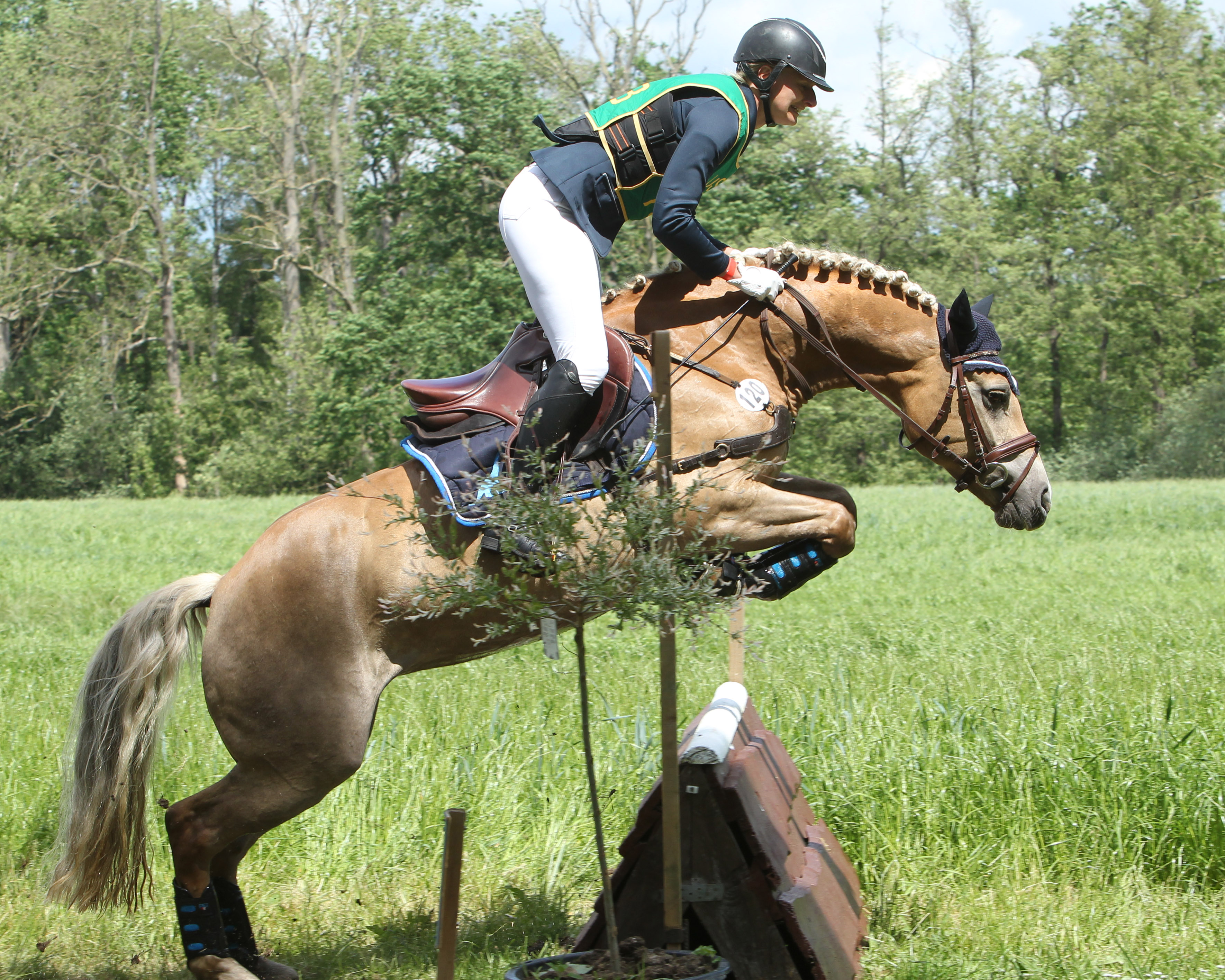 Daliyah-Derin (Santana x Steinalm) mit Stefanie Peter.