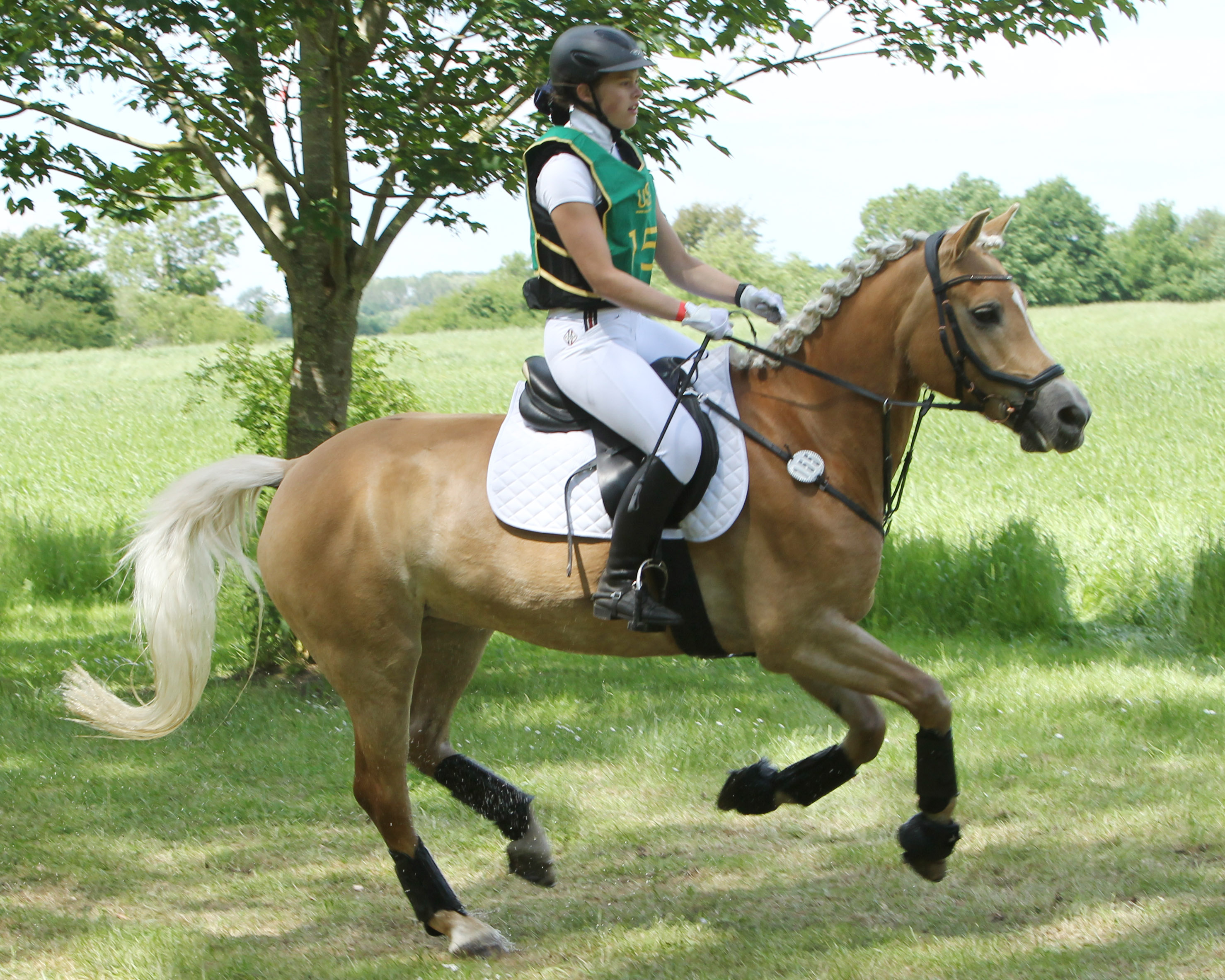 Elka (Nordcup x Nebraska) mit Hanna Lipka.