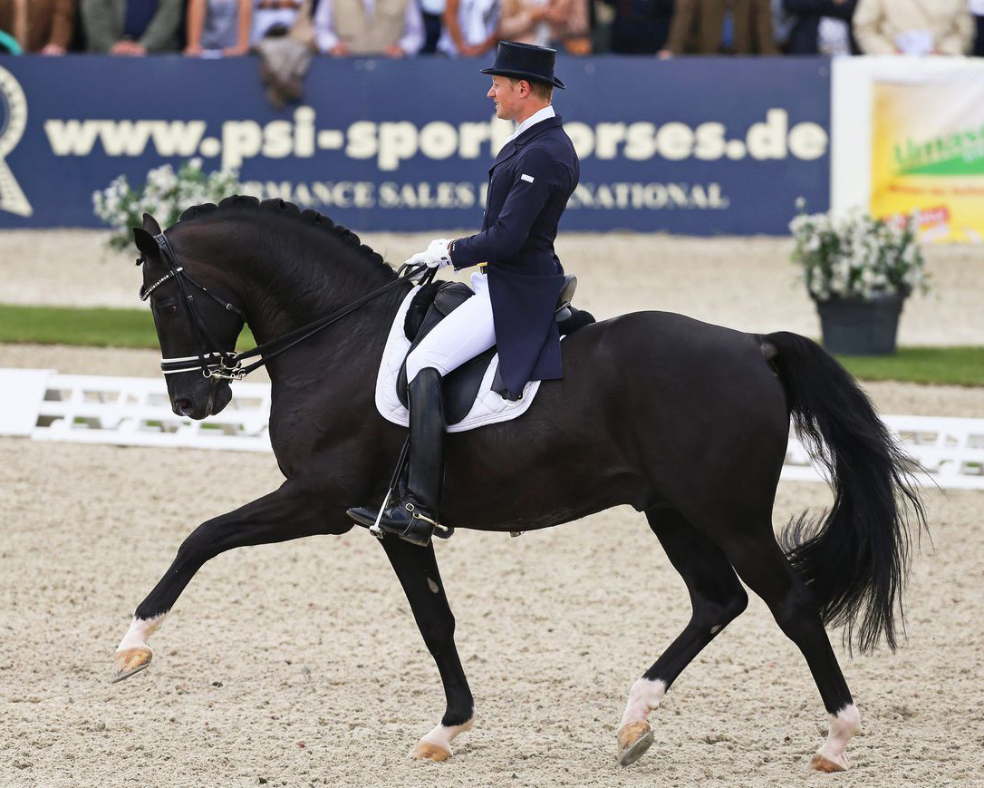 Totilas ist im Alter von 20 Jahren an einer Kolik gestorben. 2013 trugen Alexander Rath und Totilas zur Silbermedaille des deutschen Teams bei den Europameisterschaften in Rotterdam/NED bei. Archivfoto