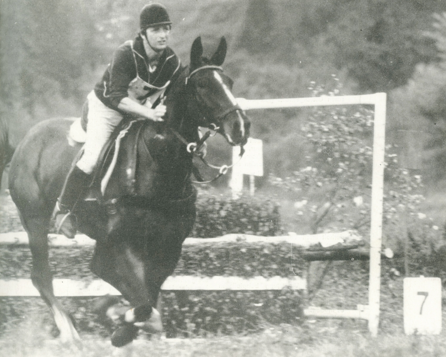 Willi Wego (Dummerstorf), Träger des Goldenen Reitabzeichens, beherrschte von 1982 bis 1984 die Vielseitigkeit, als er mit dem kräftigen Halbblüter Daker II erstmals auftauchte und später sogar SB-Springen mit ihm gewann. Vier Titel und insgesamt acht Medaillen holte er in den Bezirk Rostock. Foto: Mihatsch