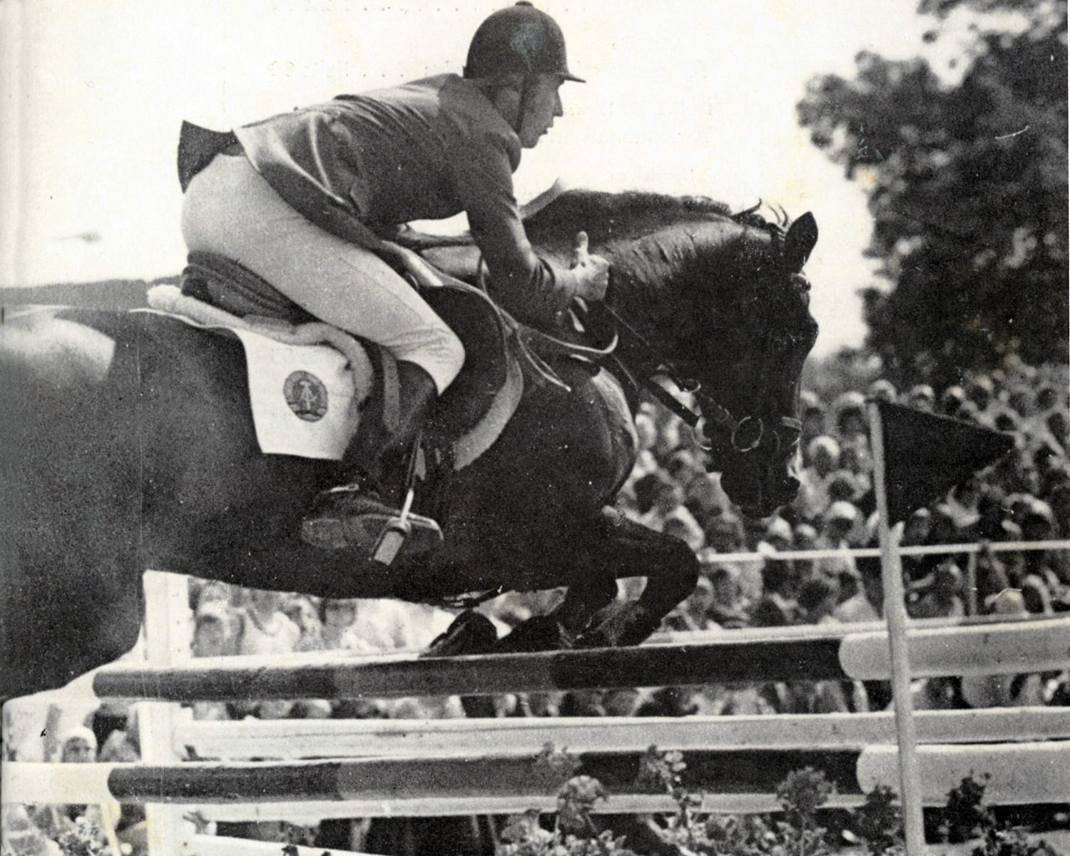 Die erfolgreichste Zeit hatte der Sachse Volker Tonn in Trinwillershagen, wo er mit der Vollblutstute Pflicht xx und der Fluß-Tochter Fantasie drei DDR-Meistertitel gewann und von 1974 bis 1980 zu acht Meisterschaftsmedaillen kam. Foto: Mihatsch