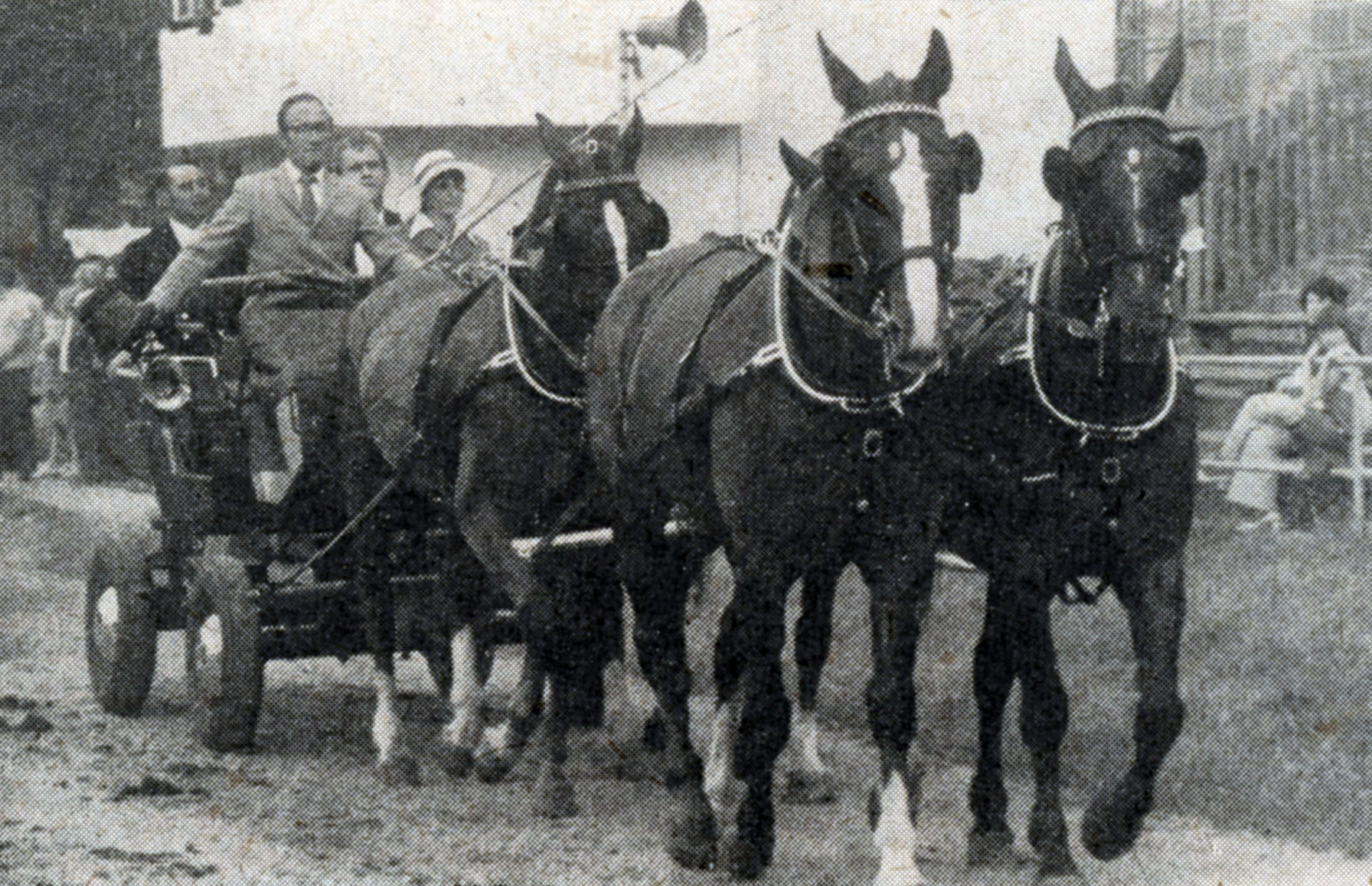 Der Schwinkendorfer Albert Gaiser wurde 4 Mal DDR-Meister im Fahren, gewann insgesamt 11 Meisterschaftsmedaillen und war der Fahrer in der DDR, der den Rekord in der Teilnahme an Meisterschaften hält. Foto: Mihatsch