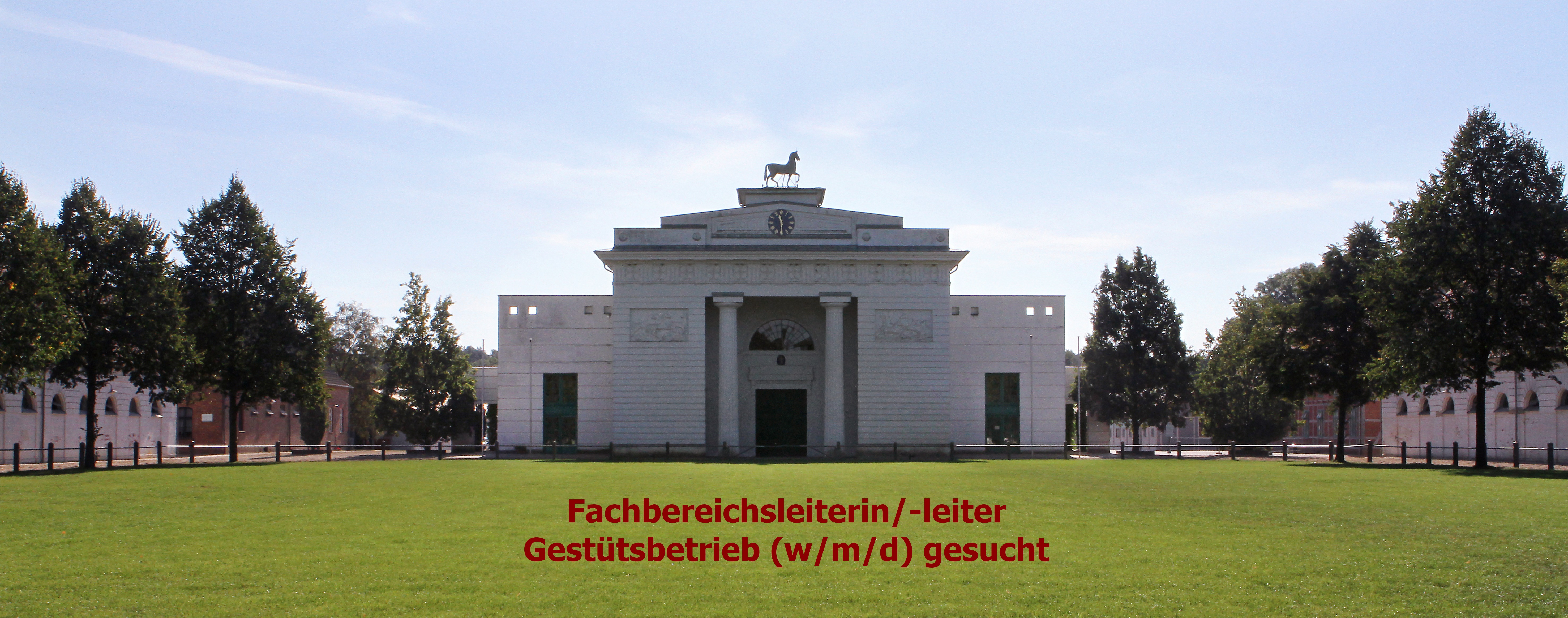 Alternativtext eintragen