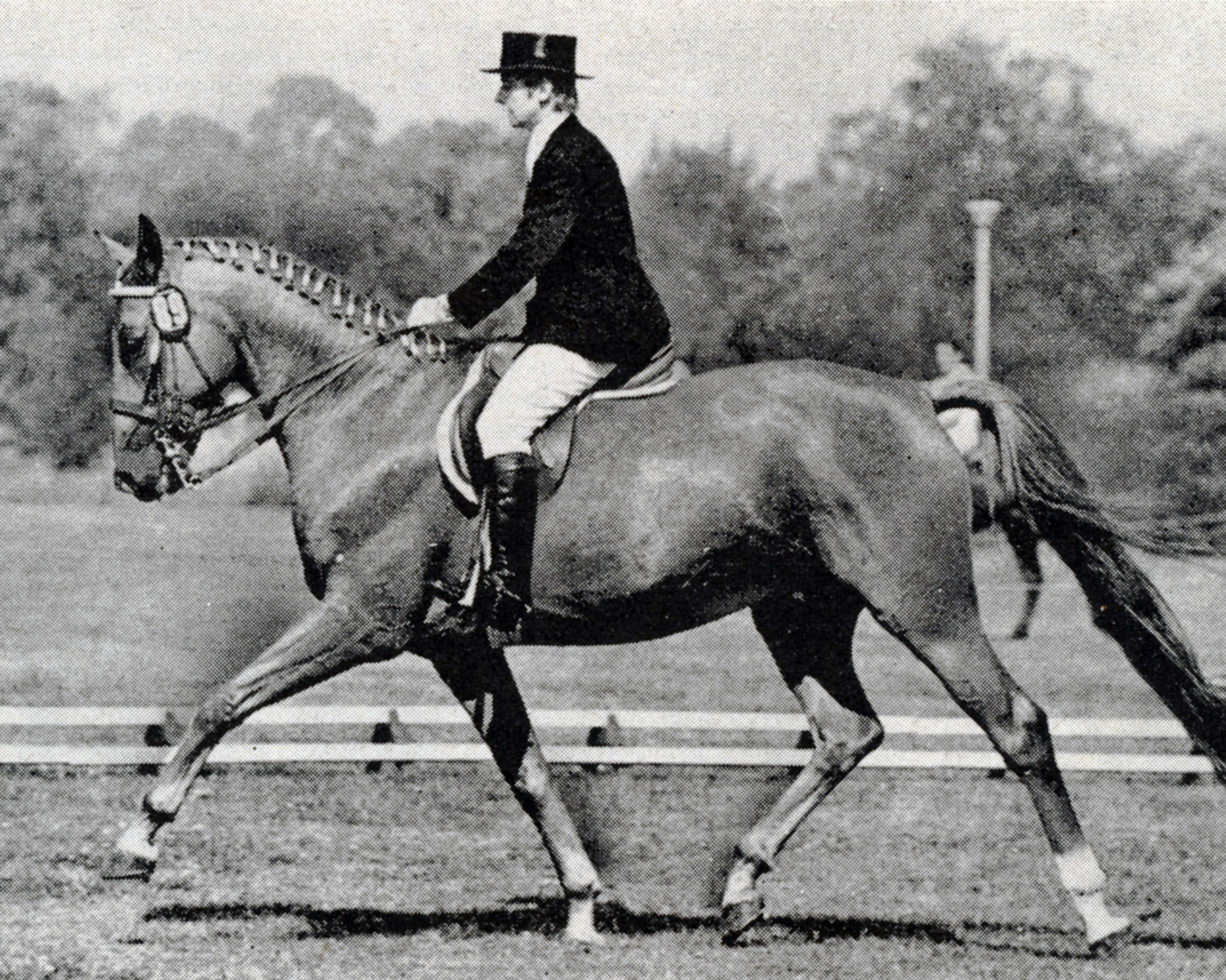 Liselotte Stehlow-Beyer holte sich 13 DDR-M;eistertitel bei den Dressur-Damen. Fünf Titel gewann sie allein mit Rugby. © Mihatsch