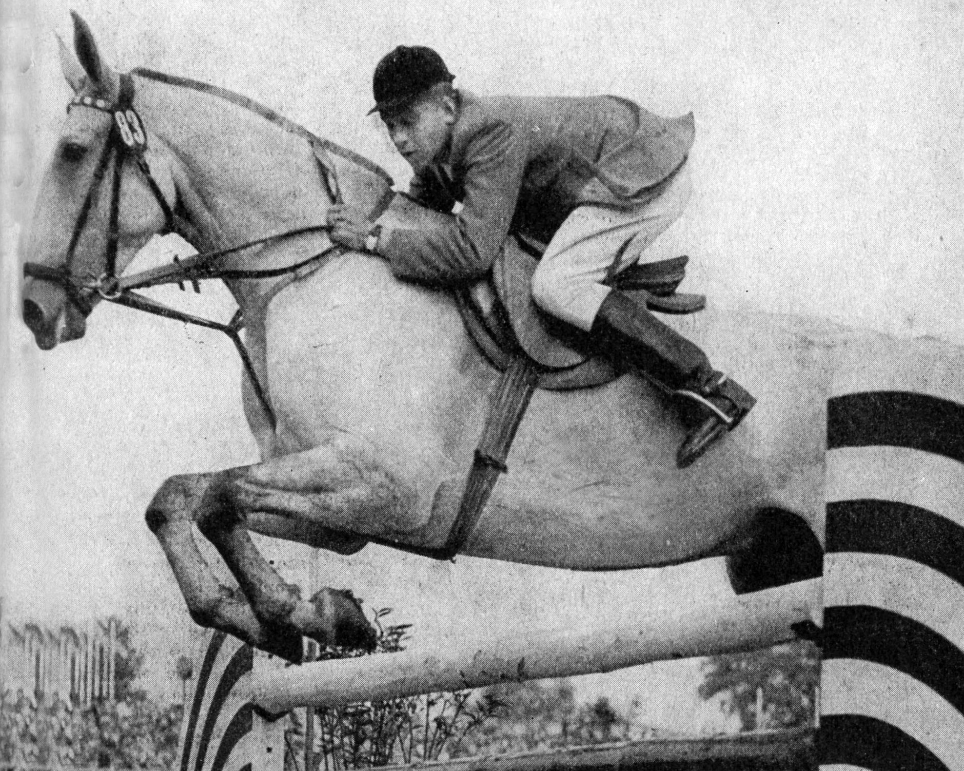 Rudi Beerbohm hat in Demmin mit dem Reiten begonnen, wurde 1965 mit dem Schimmel Schneeball für den SC Halle im Springreiter und 1971 für den SC Dynamo in der Vielseitigkeit mit dem Trakehner Hubertus DDR-Meister . © Mihatsch