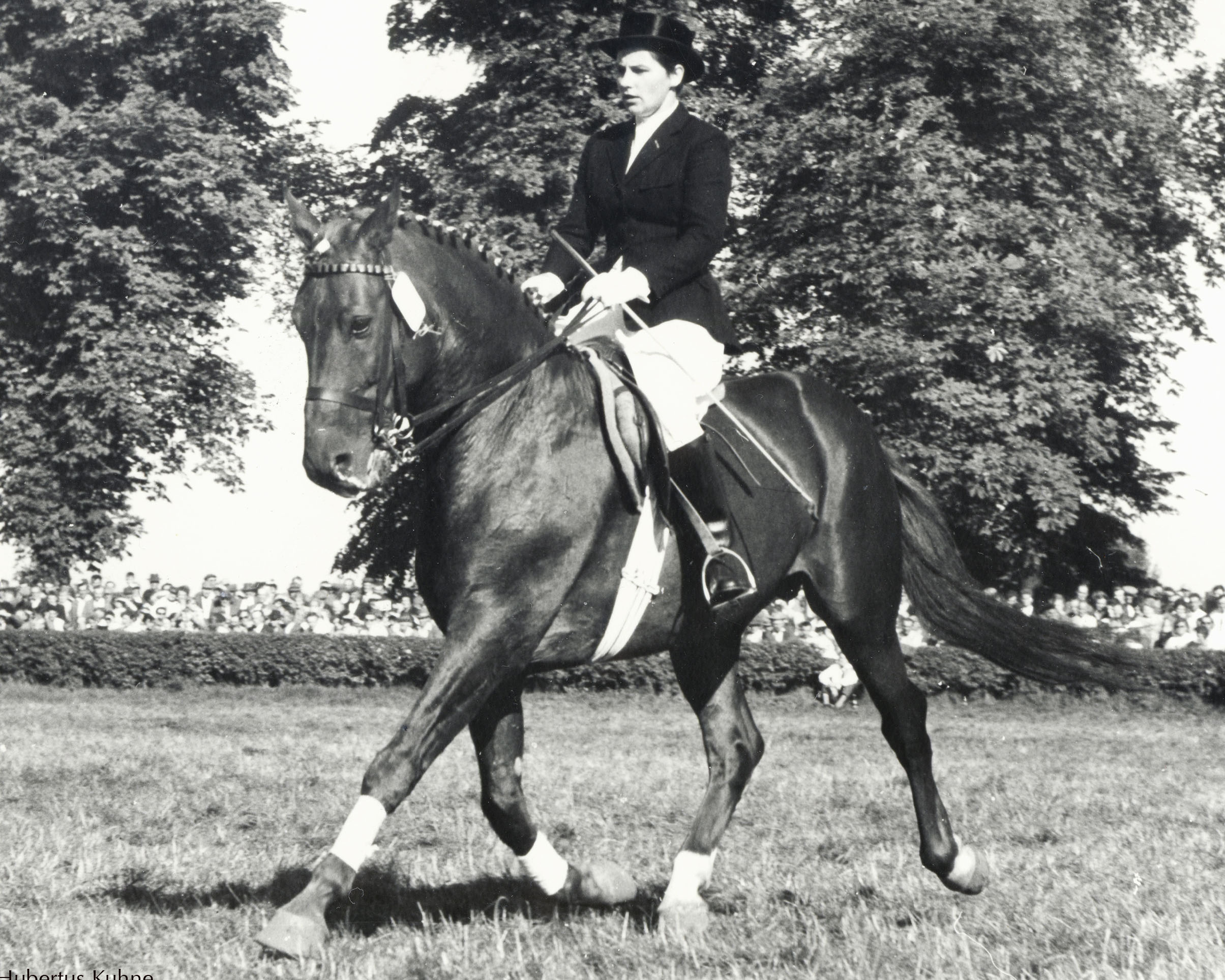 Historie: Der Pferdesport in der DDR (11. Folge) 1963 und 1964