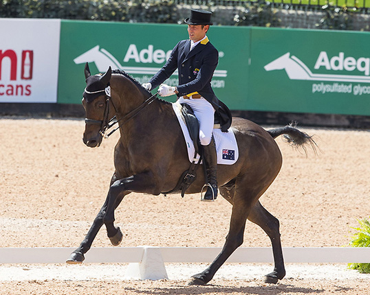 Sein aktueller Reiter ist der erfolgreiche australische Olympiareiter Christopher Burton - hier in der Dressurprüfung einer Vielseitigkeitsprüfung mit Cooley Lands. © DigiShots