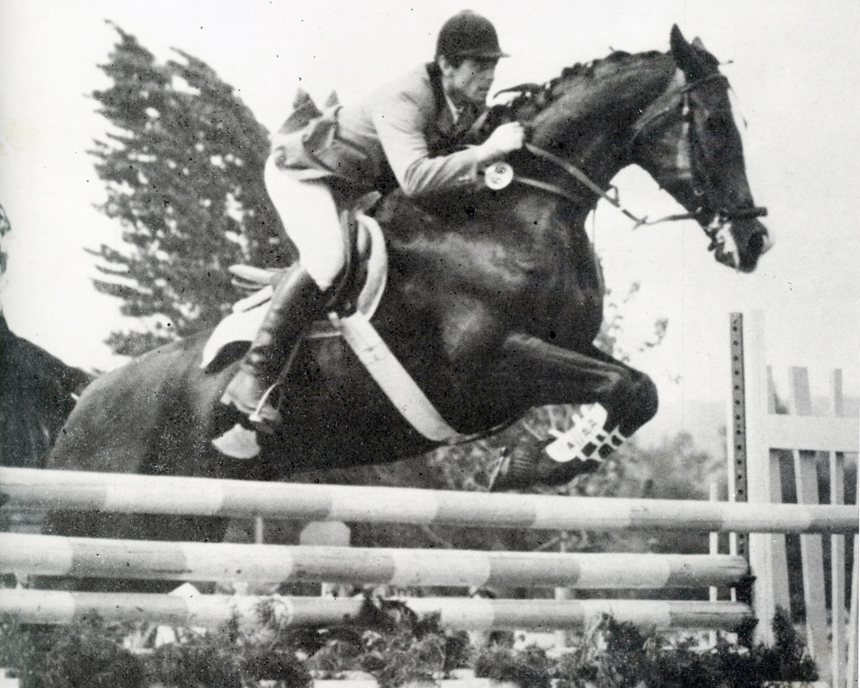 Rolf Günther beim CHI in Gera 1984, wo er als 29-Jähriger mit Duant, einem seiner erfolgreichsten Pferde in der Zeit in Mücheln, den Großen Preis gewann. © Mihatsch
