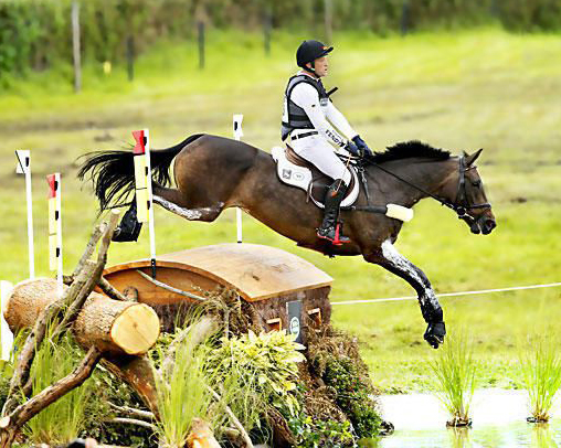 Michael Jung schickt seine 16-jährige Erfolgsstute FST fischerRocana, mit der er 2014 Vize- und Mannschaftsweltmeisterin in Caen wurde, in den sportlichen Ruhestand und setzt sie nun in der Zucht ein. Archivfoto