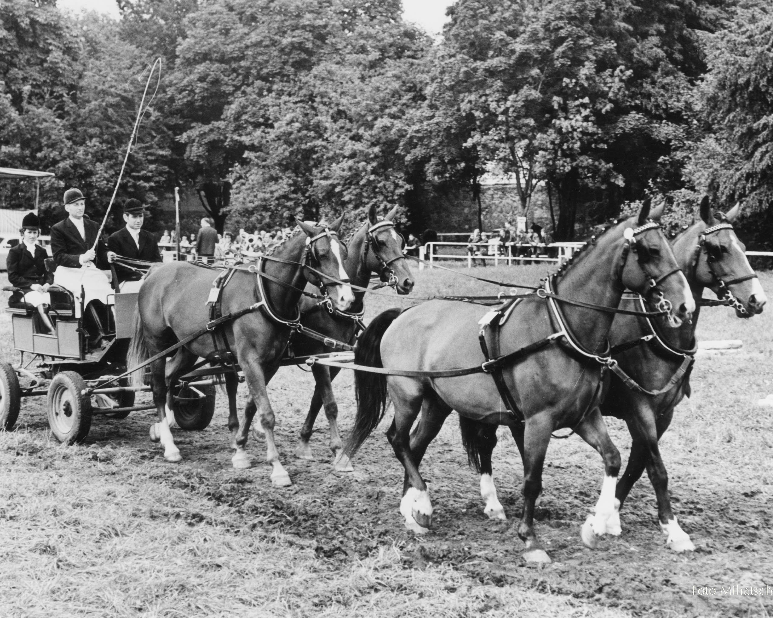 Reinhard Mäkelburg aus Calvörde wurde bereits 1966 zum ersten Mal DDR-Meister der Fahrer und wiederholte das auch in den Jahren 1967 und 1968. © Mihatsch