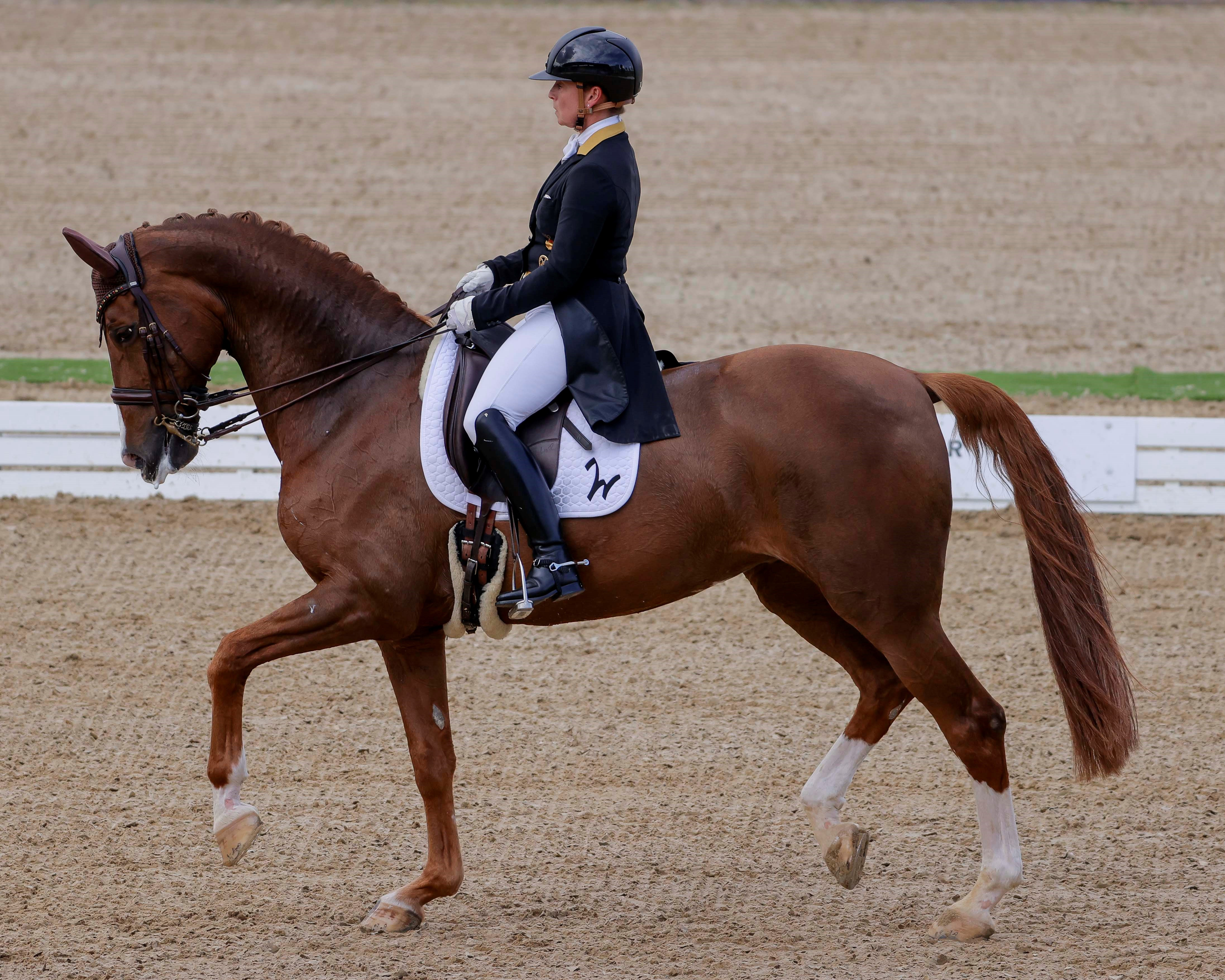 Im Sattel ihrer 17 Jahre alten Westfalen-Stute Bella Rose gewann Isabel EWerth in Mannheim den Grand Prix Spezial. © Sportfoto Lafrentz