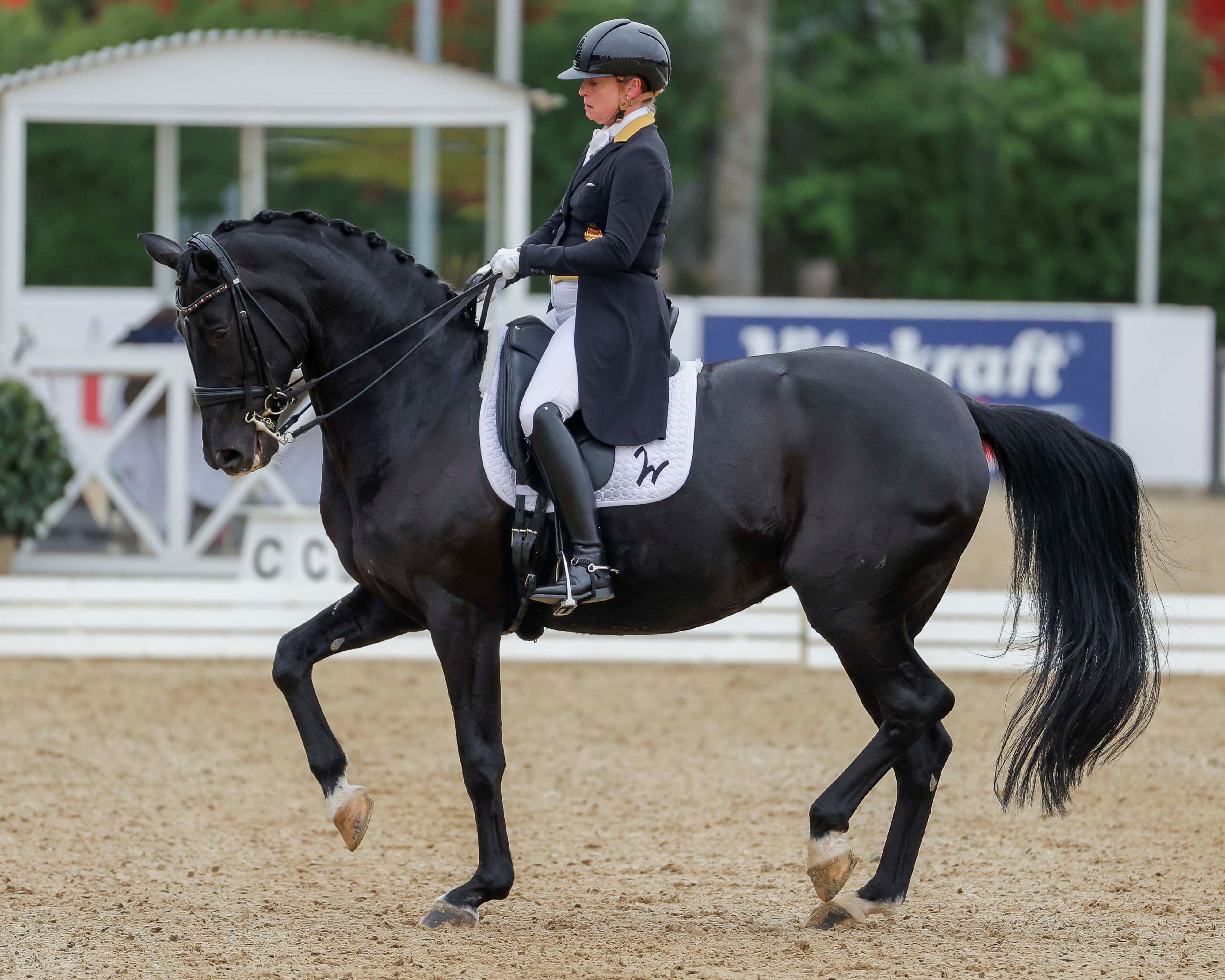 Isabell Werth hat in Mannheim souverän mit 86,650 Prozent die Grand-Prix-Kür gewonnen. © Sportfoto Lafrentz