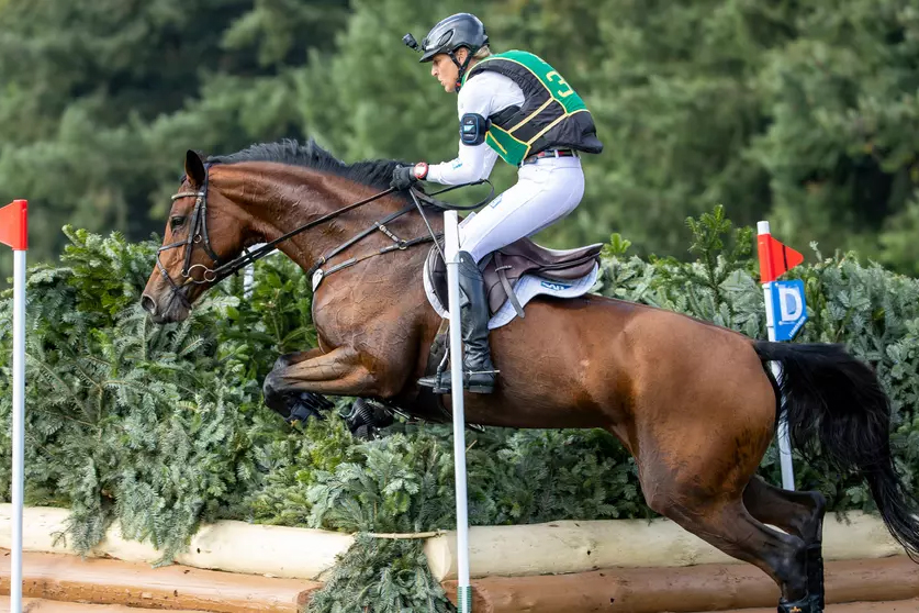 Das Deutsche Sportpferd Asha P, mit dem Ingrid Klimke an der Olympiade in Tokio teilnehmen wollte, hat sich im Training verletzt und fällt das ganze Jahr aus. © Sportfoto Lafrentz