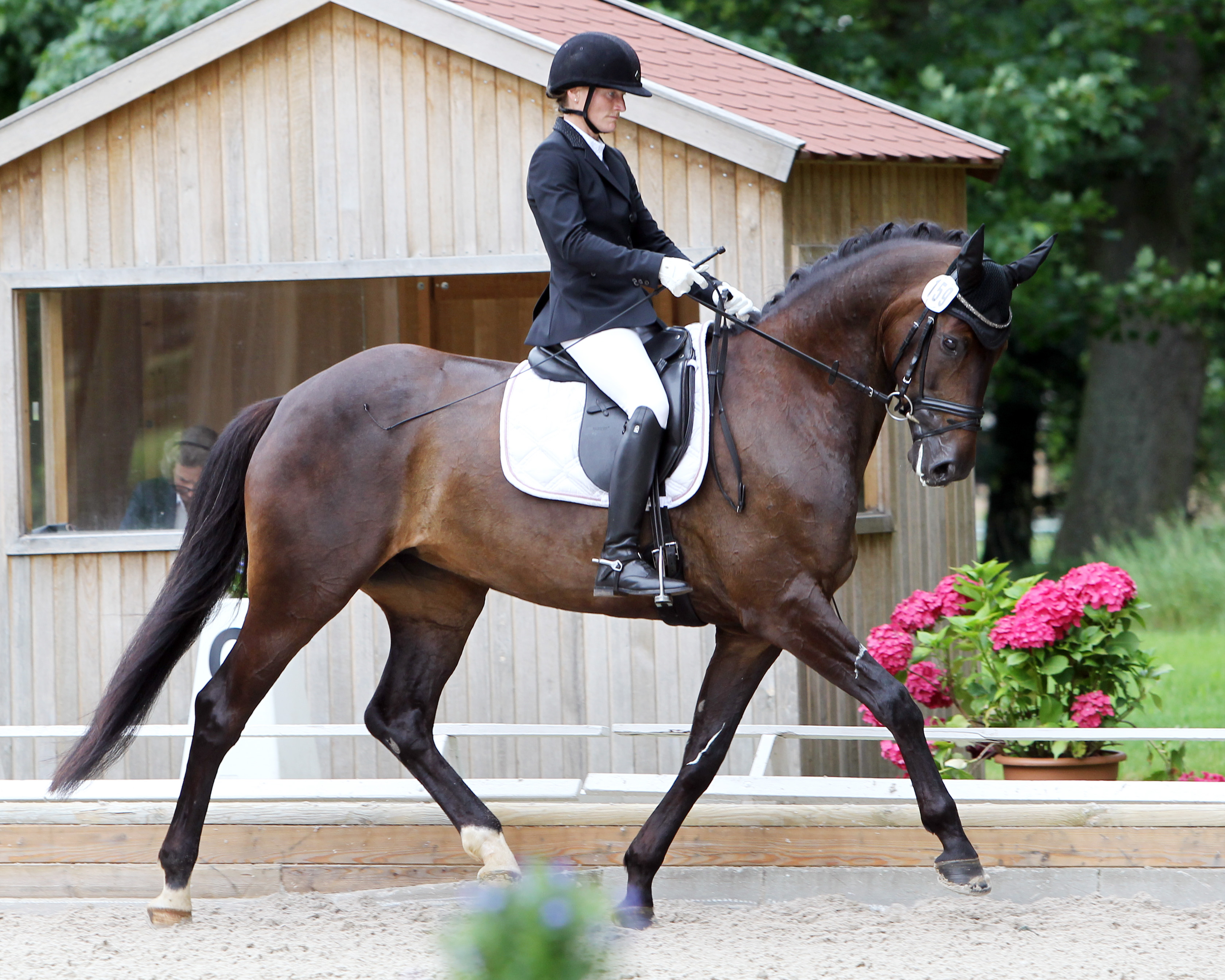 Saskia Alexandra Deutz (SV Robinson Fleesensee) hat bei der Para Dressur anlässlich der „Pferd International München“ mit ihrer 10-jährigen Stute Soyala die ersten beieden Prüfungen im Grade IV gewonnen und wurde in der Kür Dritte. © Jutta Wego