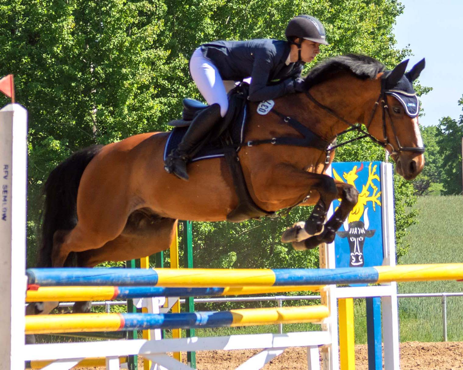 Siegerin des L-Springens in Marlow wurde Anna-Lena Finck aus Zehlendorf mit Calimbo. © KaLo