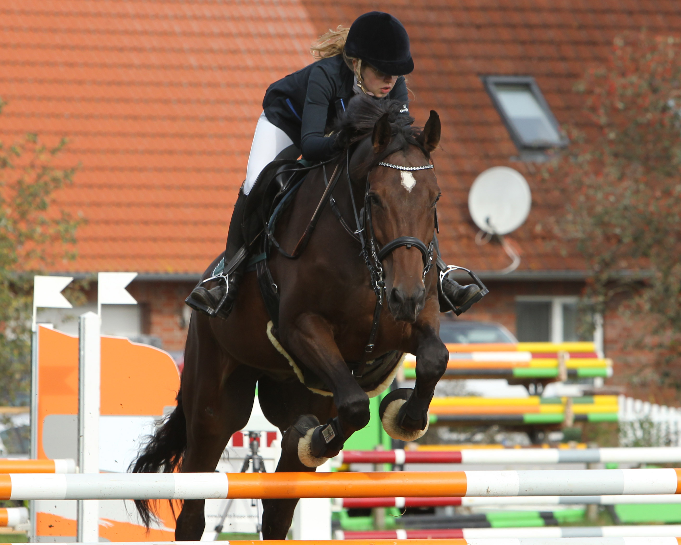 Die 24-jährige Paula Wiesner aus Strahlendorf gewann mit Balou das A-Punktespringen. © Jutta Wego