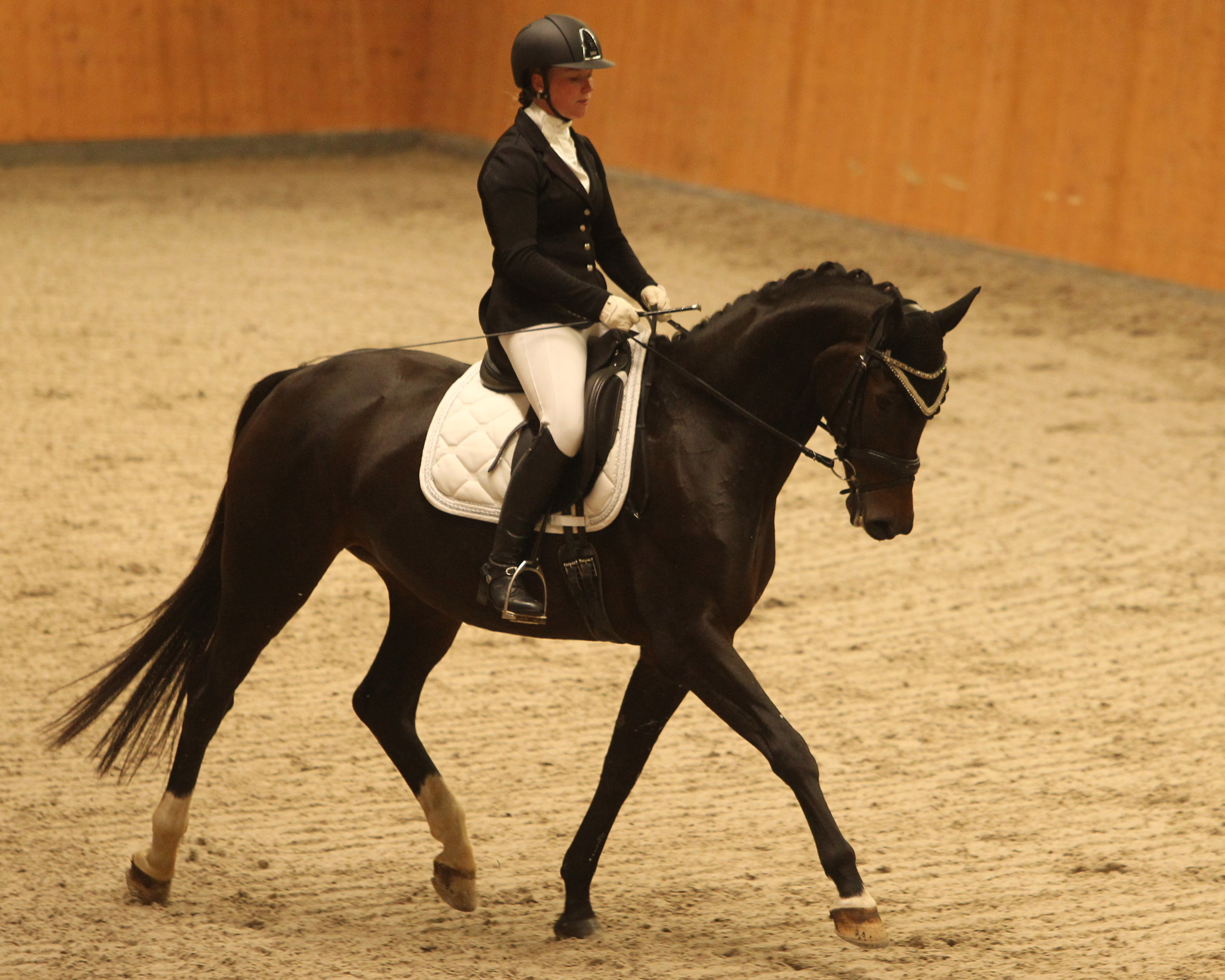 Mit zwei Ponys stand Ann-Christin Mehl in der L-Dressur L5 an der Front der Siegerehrung und gewann mit Silence