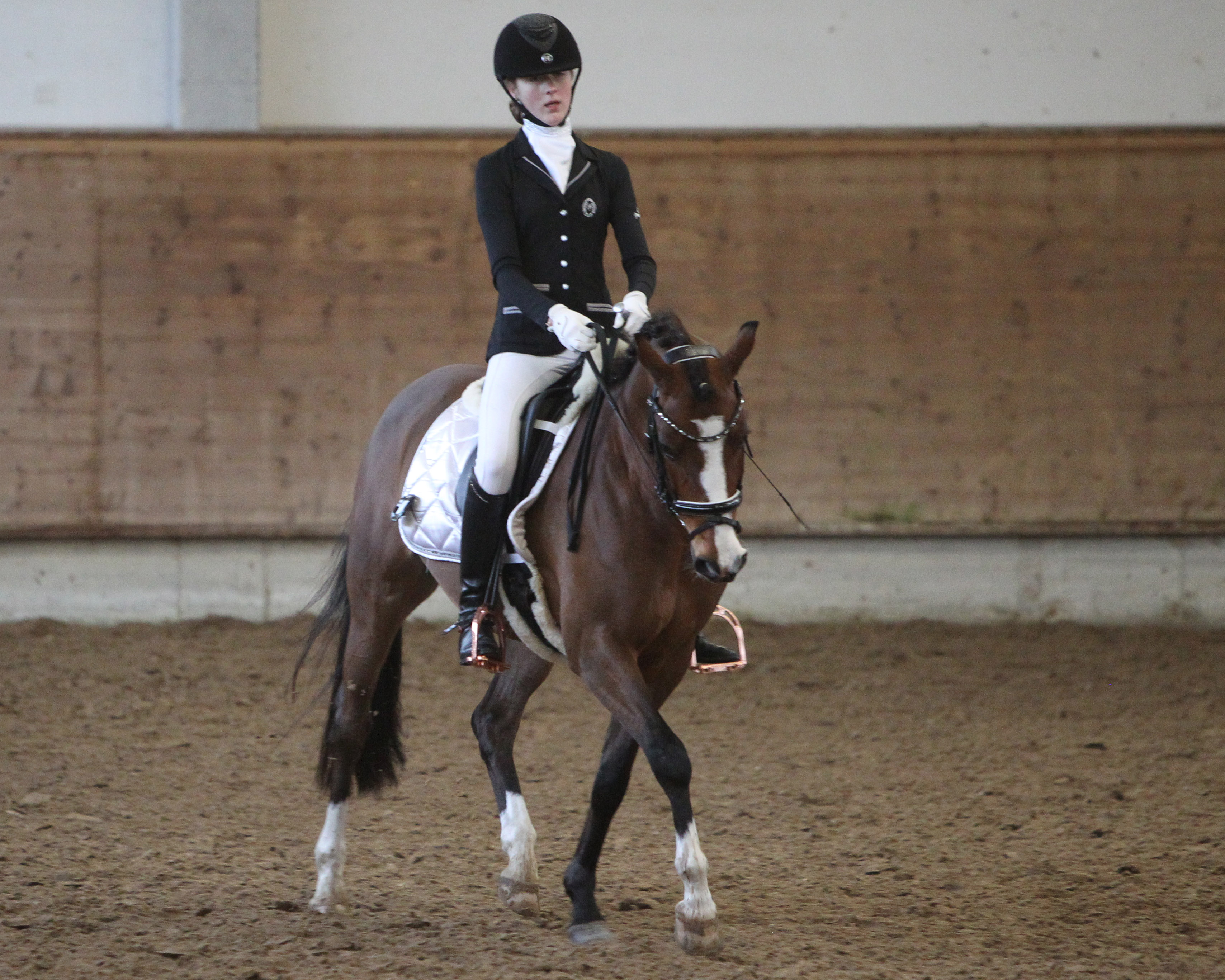Auch die 15-jährige Betty Bünning hatte mit Bonaparte ein Pony unter dem Sattel und gewann in Marlow die L-Dressur L3. © Jutta Wego