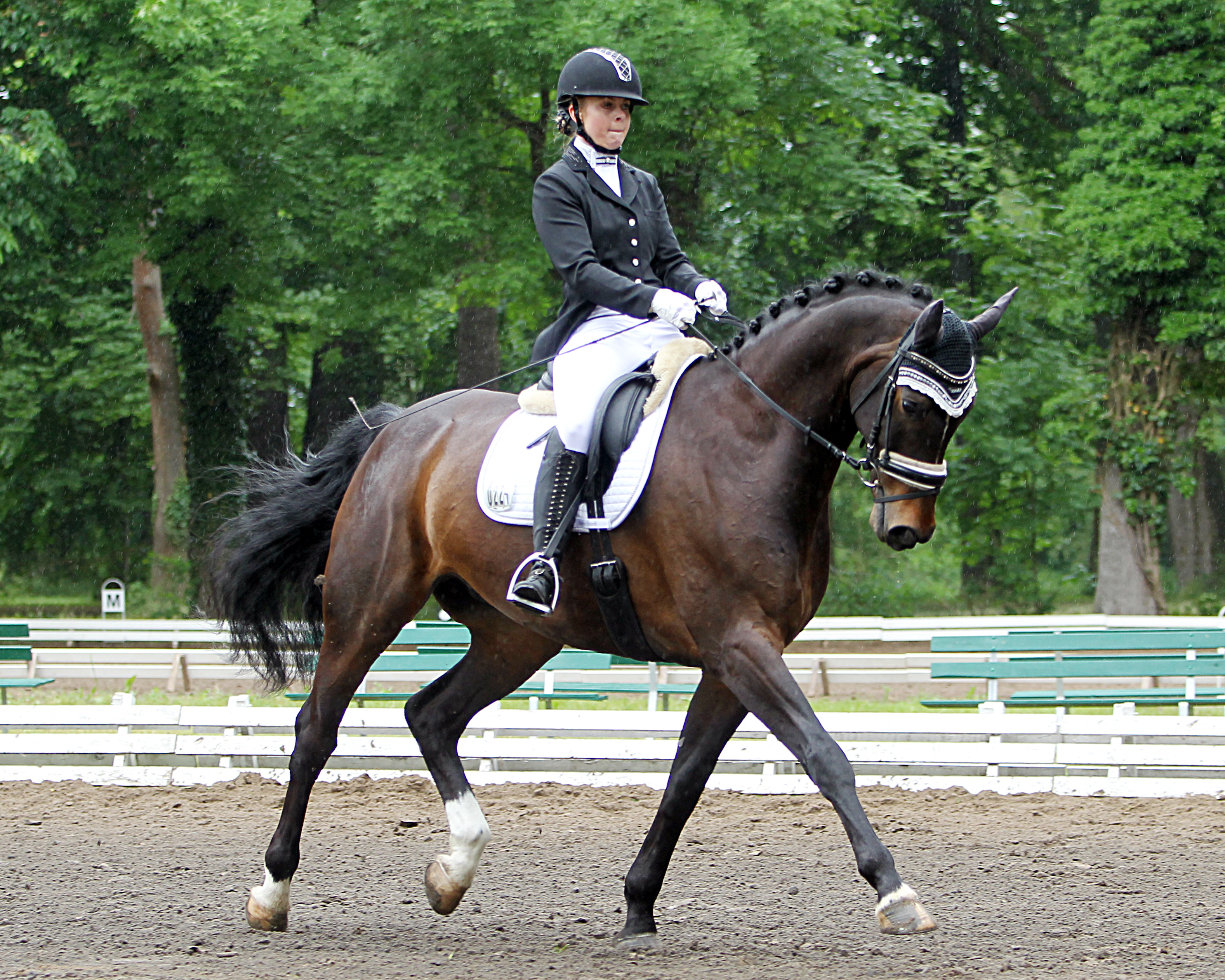 Kim Hoppe vom Reitverein Güstrow war die erfolgreichste Dressurreiterin in Ludorf, die mit Royal Mercure die L-Dressur und die Dressurreiterprüfung Klasse L gewonnen hat. © Jutta Wego