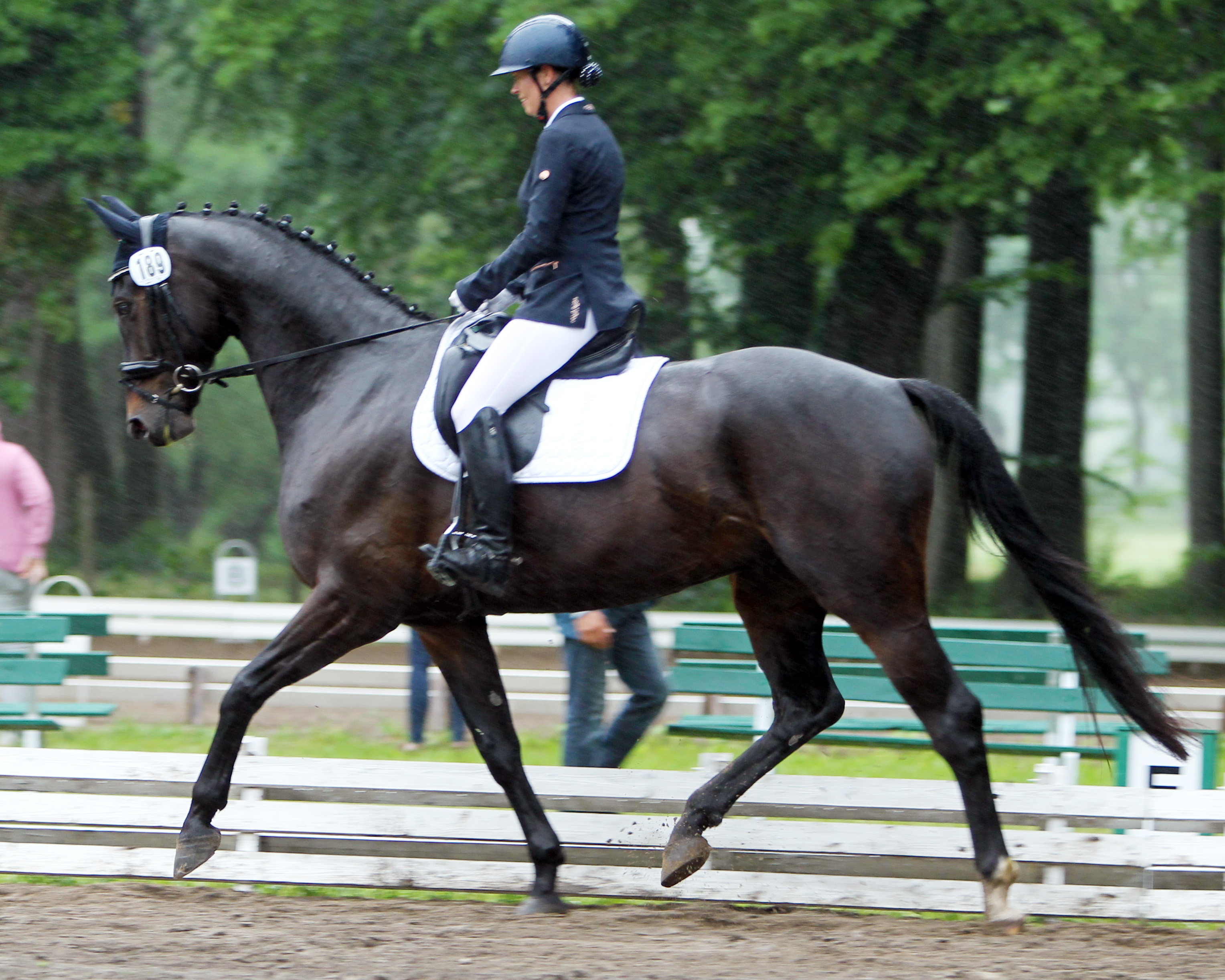 Siegerin der A-Dressur A6 und Zweite in der A5 wurde Katja Gleisner vom RFV Schwinkendorf mit Negros son. © Jutta Wego