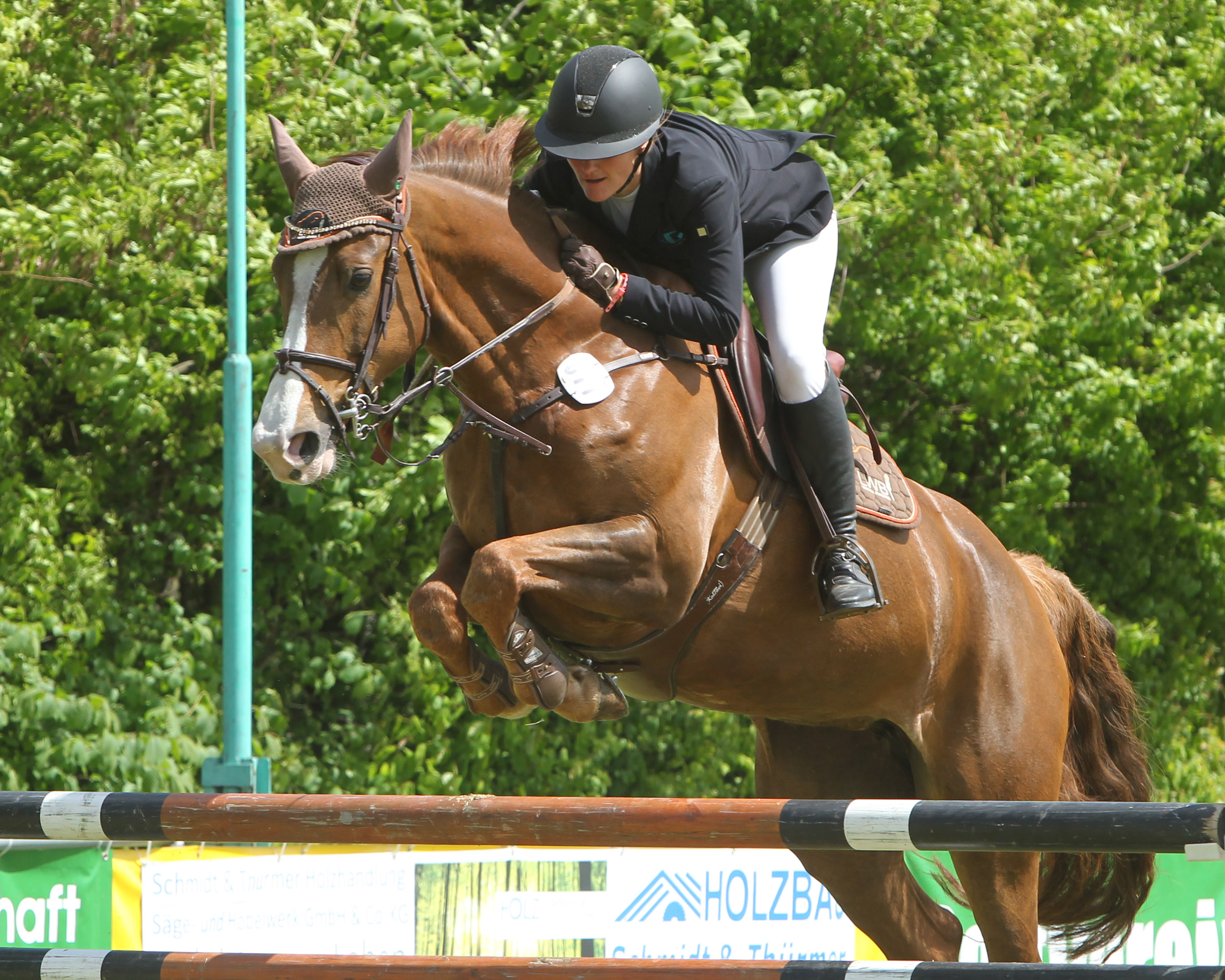 Anna-Ebel Jürgens, bereits mit mehreren Landesmeistertiteln dekoriert, gehört am kommenden Sonntag im Großen Preis von Polzow zu den Favoriten. Mit der 11-jährigen Stute Charletta (Züchter und Besitzer Vater Martin Jürgens), Halbschwester ihres bisher erfolgreichsten Schimmels Levado, hat sie beim Pfingstturnier in Dersekow zwei bedeutende Springen gewonnen. © Jutta Wego