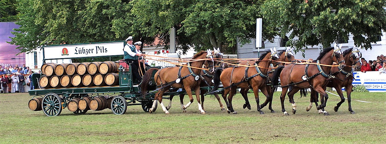 Hans-Joachim Dittberner mit Sohn Fred als Beifahrer sechsspännig mit  dem Lübzer Bierwagen beim CSI Redefin. © Jutta Wego