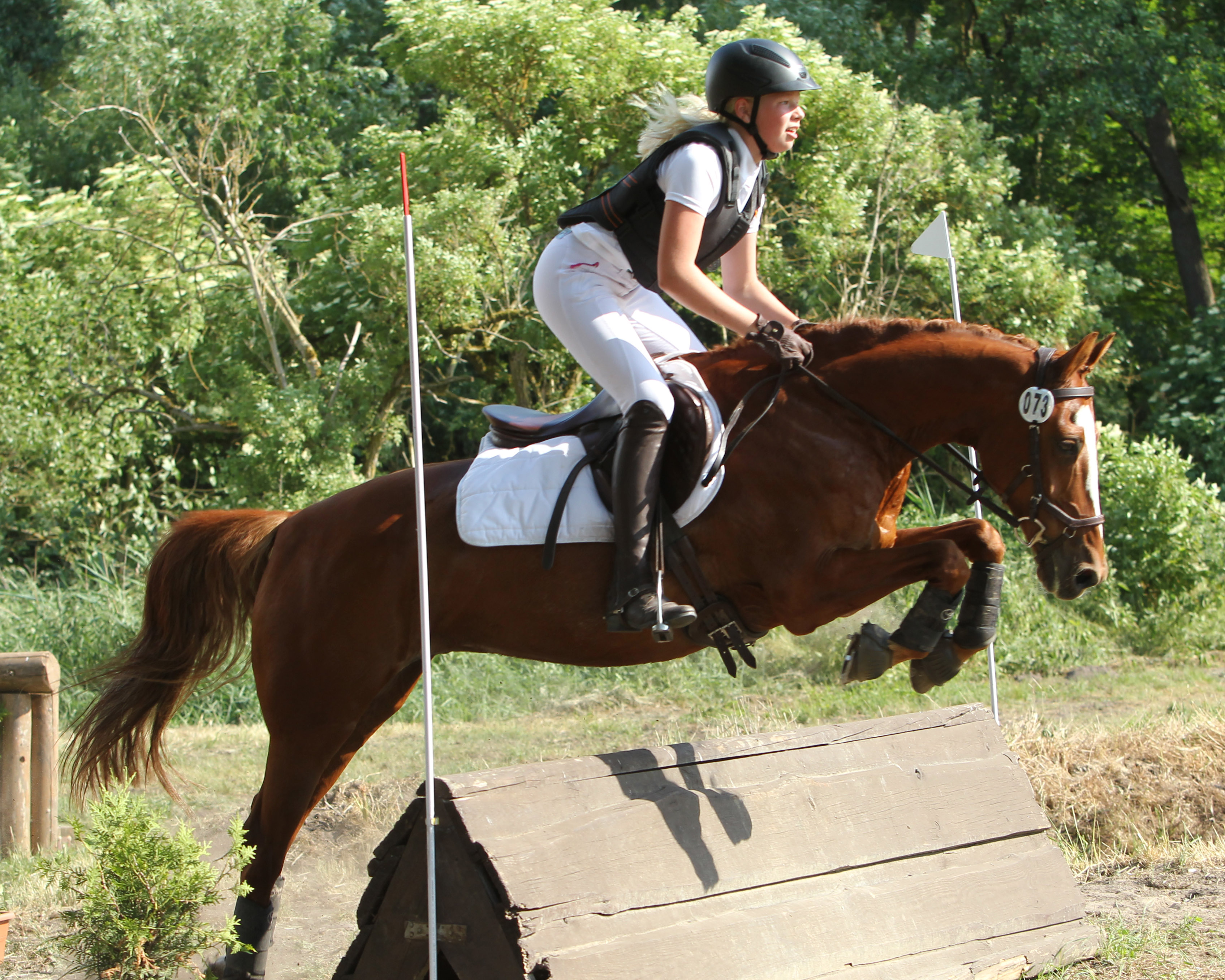 Den Kombinierten Reitwettbewerb mit Dressur, Gelände und Springen gewann Maja Lina Rohlfing auf Cool Man, die für die RSG Wöpkendorf reitet. © Jutta Wego