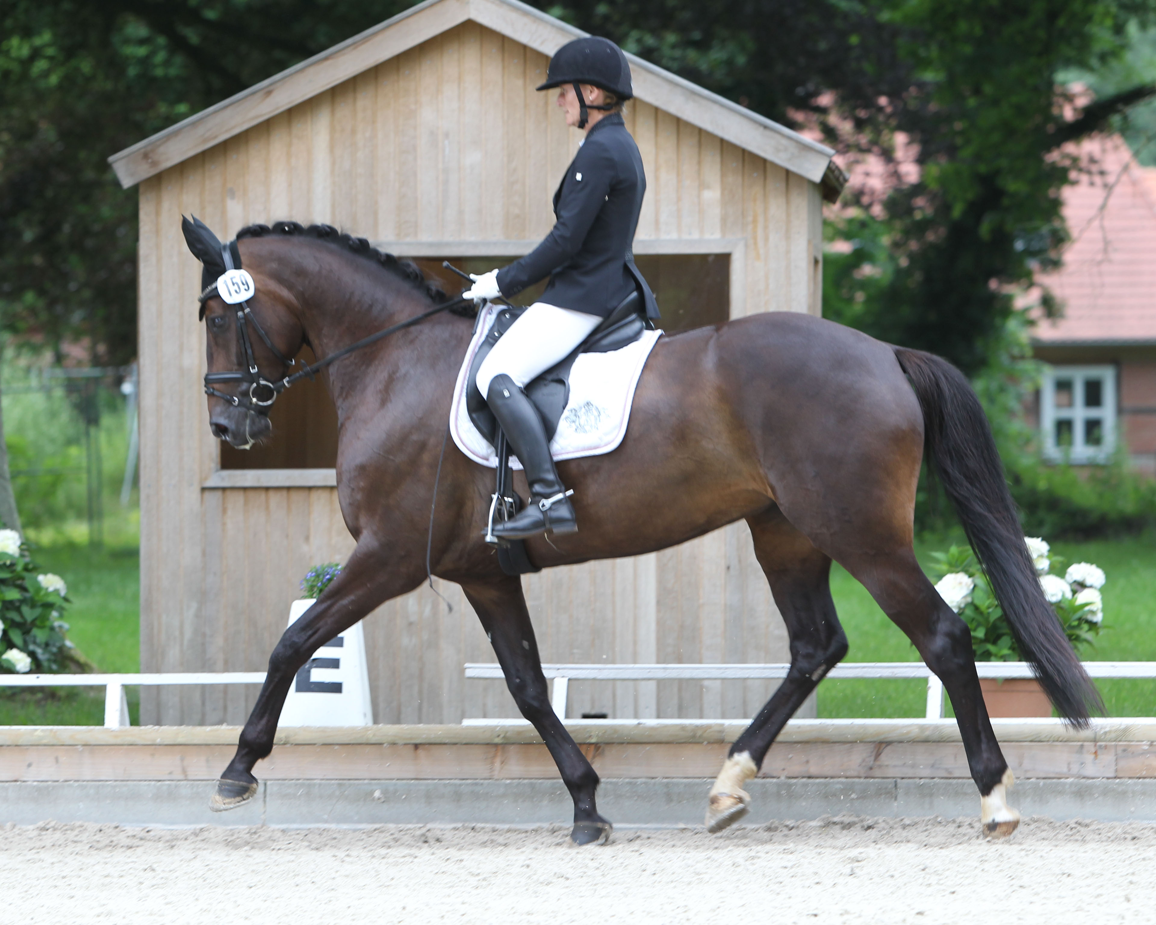 Saskia Deutz aus Bergen (Rügen) ist mit ihrer Stute Soyala für die Para-Dressur der Paralympics in Tokio vom 24. August bis zum 5. September nominiert. Foto: Jutta Wego