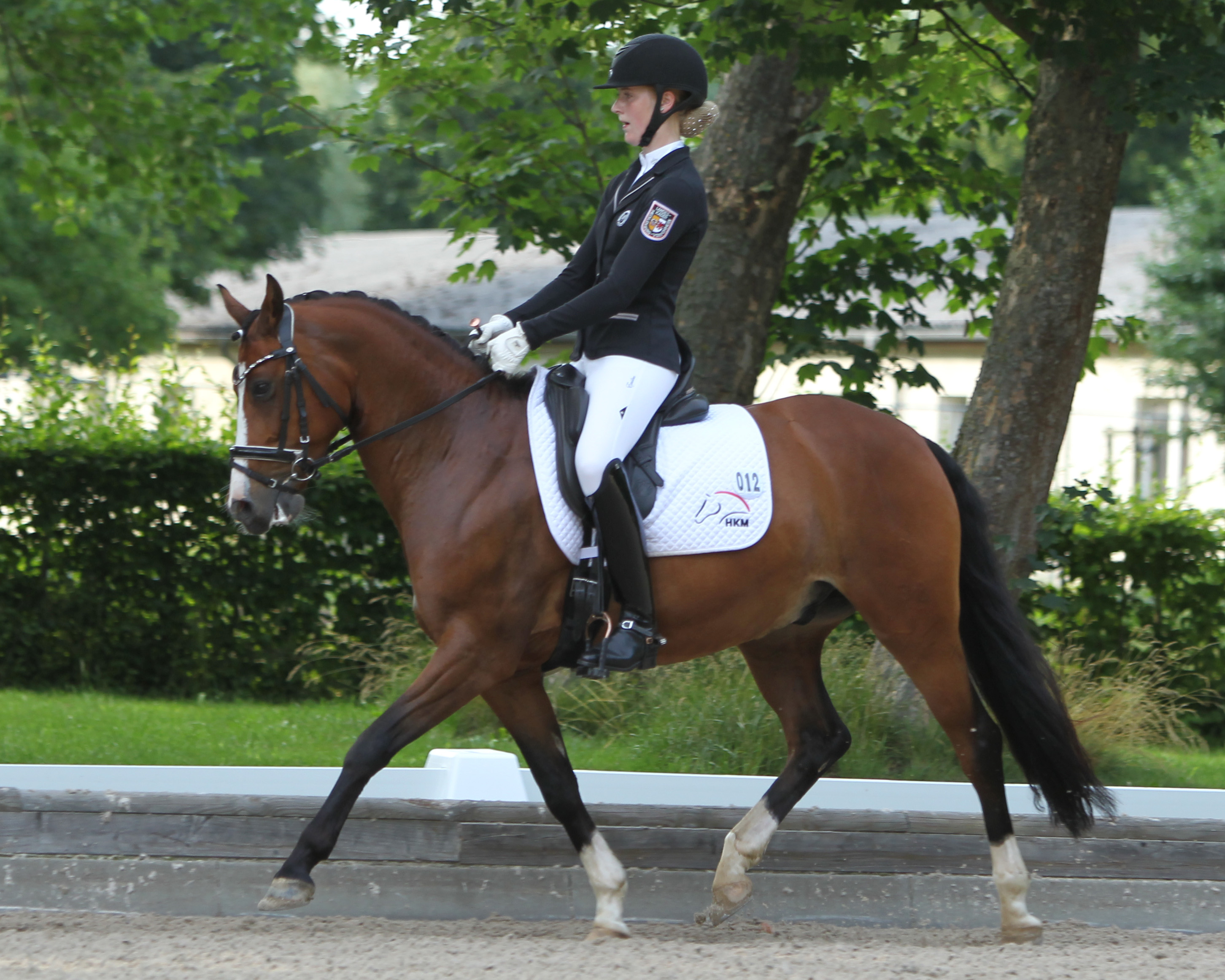 Mit ihrem 8-jährigen Pony Bonaparte hat die 15-jährige Betty Bünning aus Greifswald beide L-Dressuren in Trent gewonnen. © Jutta Wego