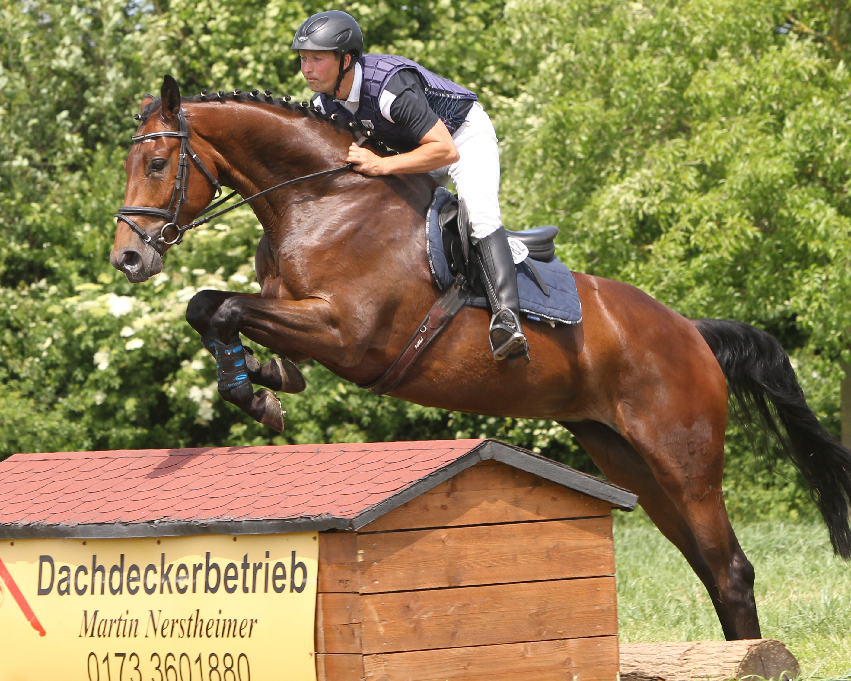 Mit einem sehr guten 3. Platz auf Esra BS kehrte Andreas Brandt von der Drei-Sterne CCI-Vielseitigkeit aus Hamm-Rynern nach Neuendorf zurück. © Jutta Wego