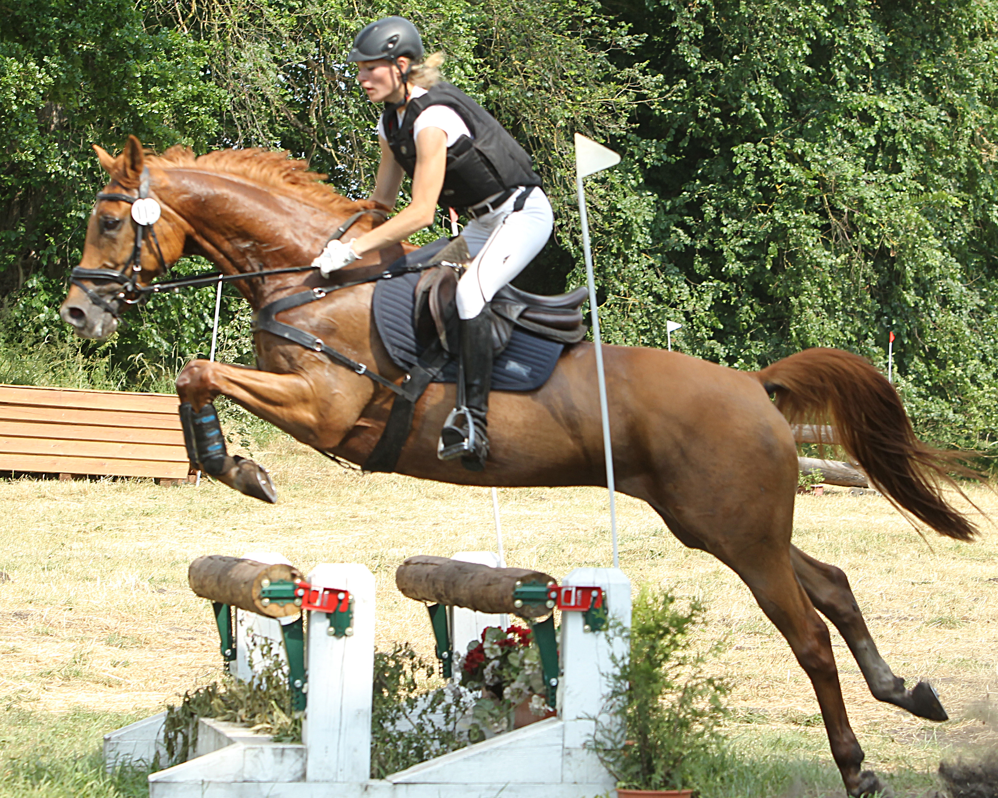 Eine Woche nach ihren Erfolgen in Krusemark war auch Paula Fatteicher mit dem Trakehner Fakir in der Ein-Sterne CCI-Prüfrung von Hamm-Rynern wieder erfolgreich. © Jutta Wego