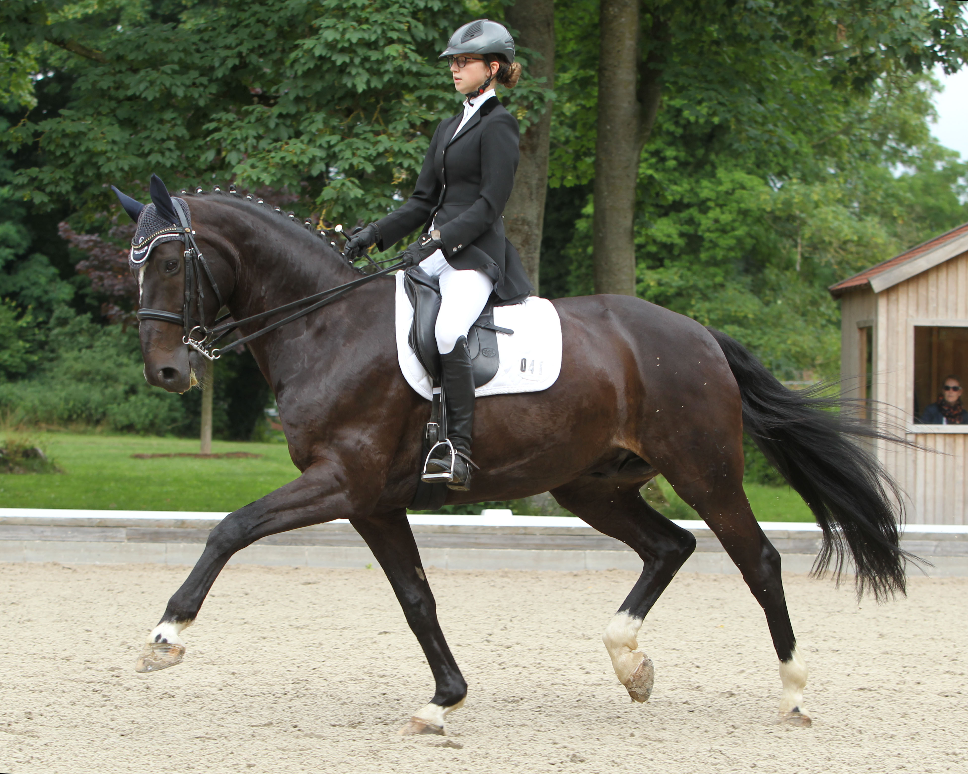 Die 15-jährige Lana Marie Külper aus Nostorf, die für den RFV Schwanheide reitet und von Michael Thieme trainiert wird, ist mit Dozent für das Bundesnachwuchschampionat in Darmstadt nominiert. © Jutta Wego