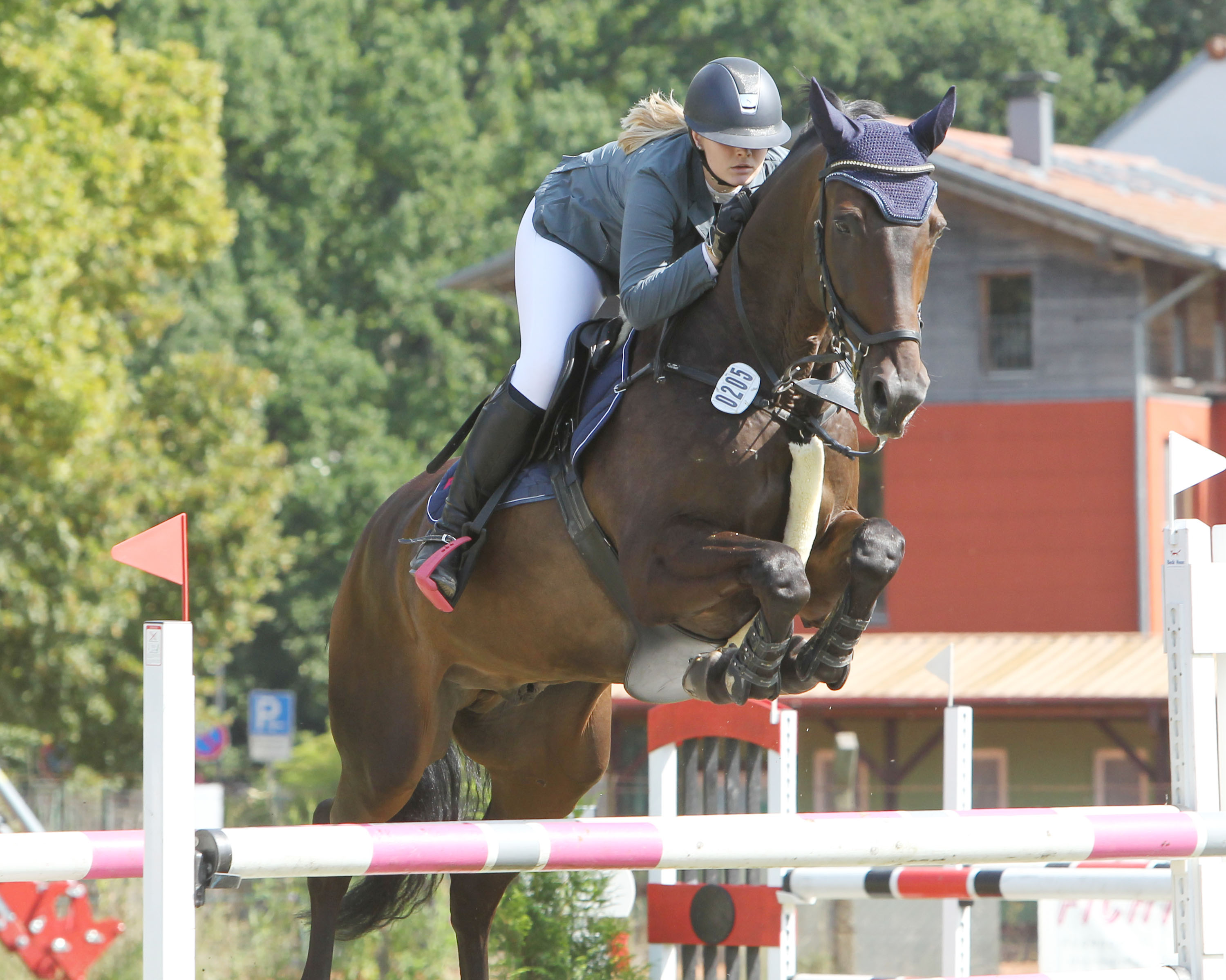 Maik Osterloh reitet für den RV Güstrow gewann mit Saphir ein A-Springen und wurde Kreismeister der Ü40-Reiter. © Jutta Wego