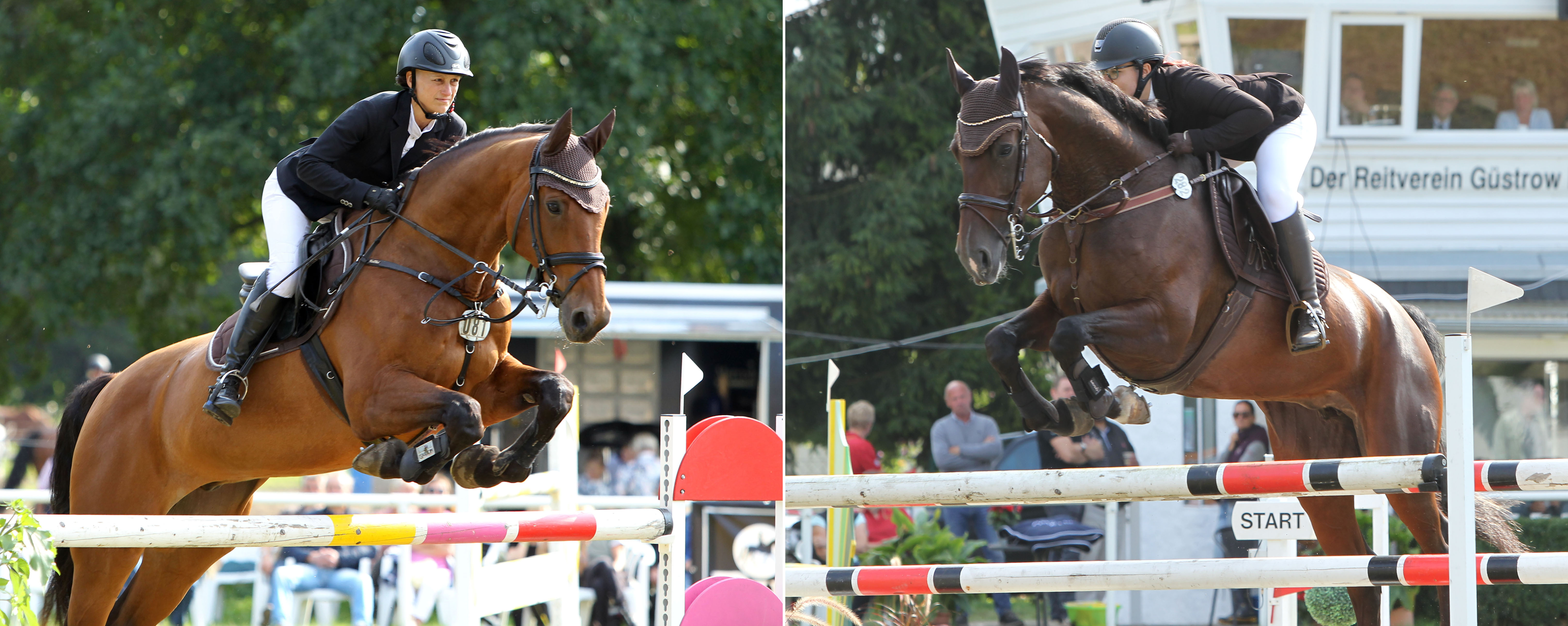 Links: In der Turnierleitung stark eingebunden und dennoch erfolgreich: Ramona Schilloks (hier mit Cenny) kam vor heimischer Kulisse zu insgesamt acht Platzierungen. © Jutta WegoRechts: Vivien Göbel aus Friedrichsruhe gewann mit Savona überraschend das M-Springen am Sonntrag. © Jutta Wego