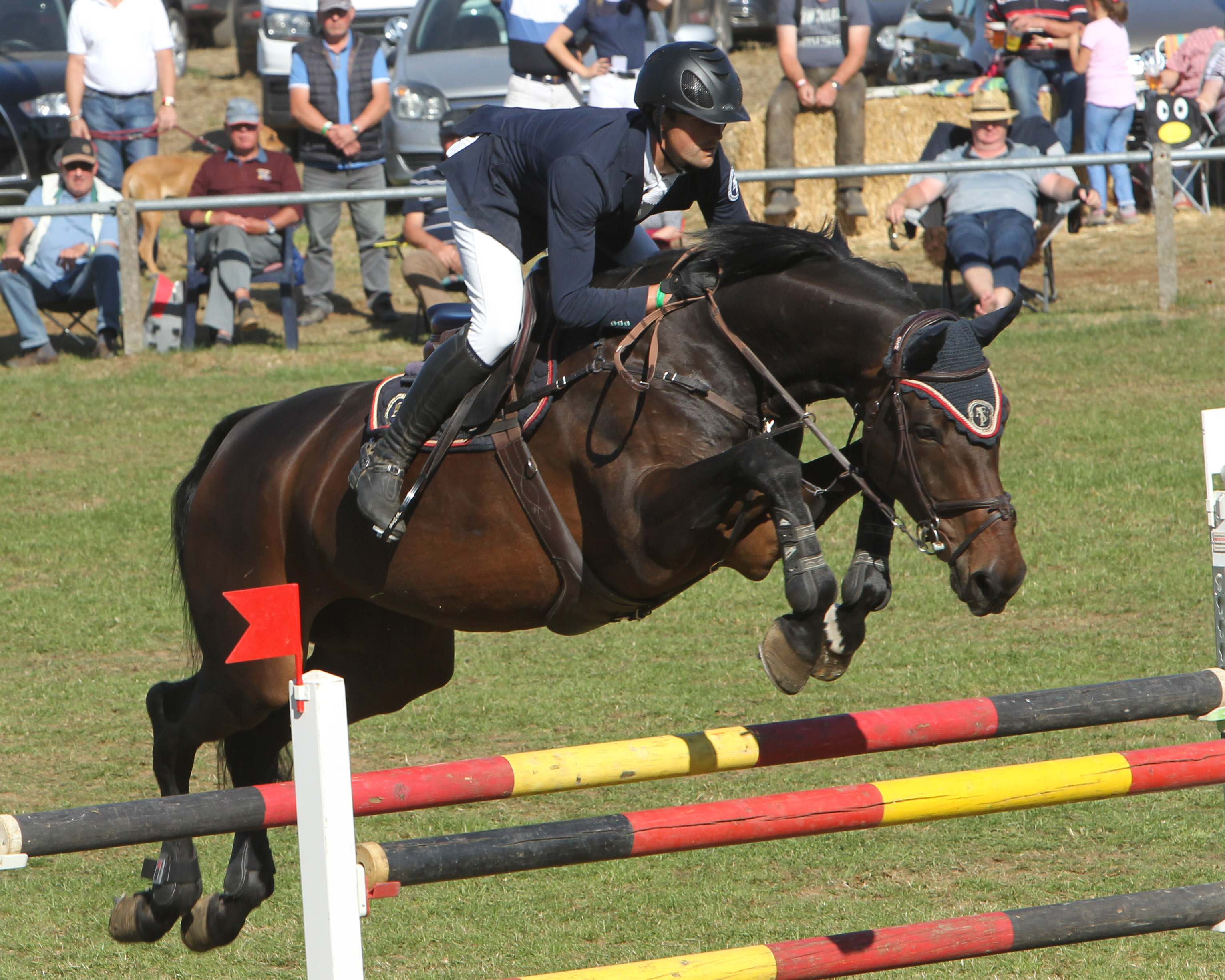 Titelverteidiger im Großen Preis ist Philipp Makowei aus Gadebusch mit Queo II, der auch in diesem Jahr dabei ist. © Jutta Wego