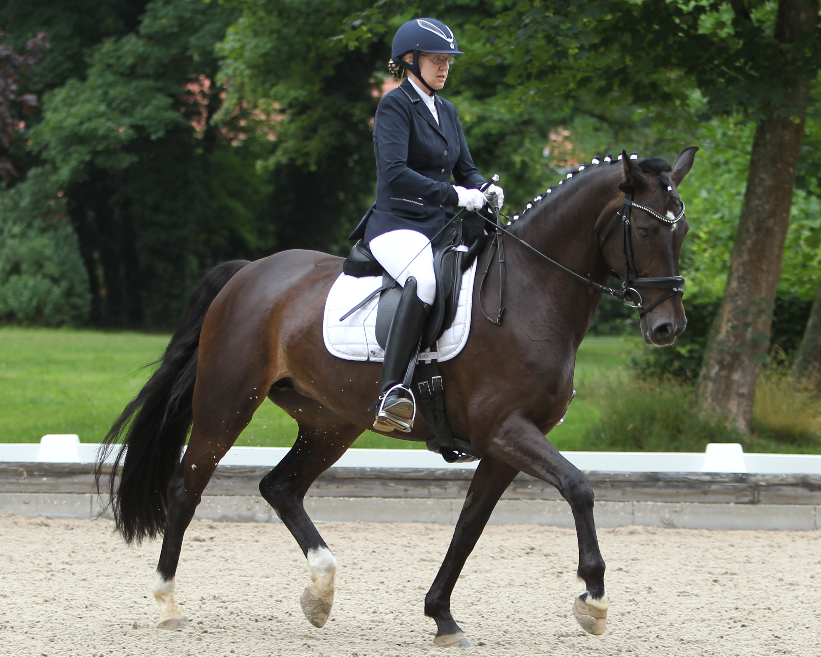 Silvia Körk aus Boock, die für den RFV Krackow reitet, Landesmeisterin der Ü40 Amateure, hat beim Erntedankturnier in Rossow die L- und eine A-Dressur auf Damseys Masai gewonnen. © Jutta Wego