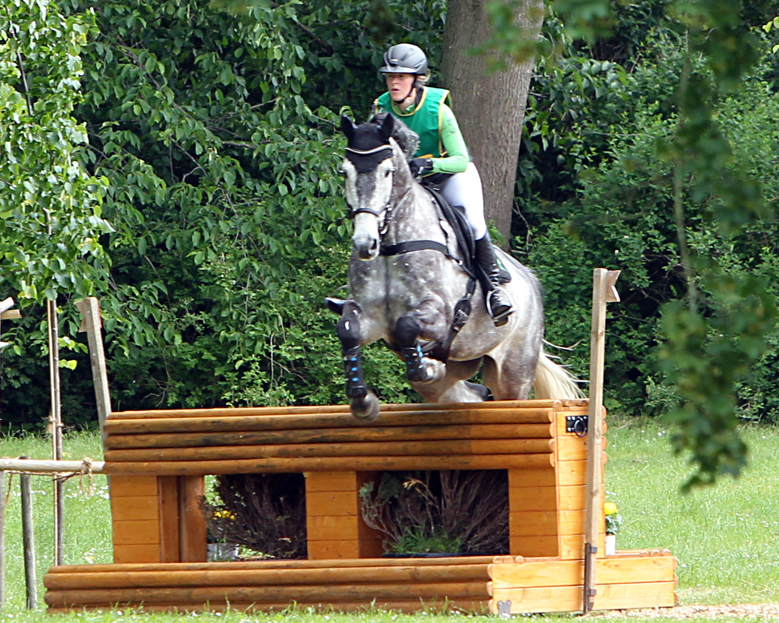 Nach ihrer Platzierung im CCIO4*-S beim CHIO Aachen lieferte Malin Hansen-Hotopp aus dem vorpommerschen Gransebieth (bei Voigtsdorf) beim renommierten CCIO4*-S Boekelo (Niederlaqnde) mit ihrem 9-jährigen Schimmel Carlitos Quidditch K erneut eine Top-Ergebnis das zum 3. Platz im Nationenpreis beitrug. © Jutta Wego