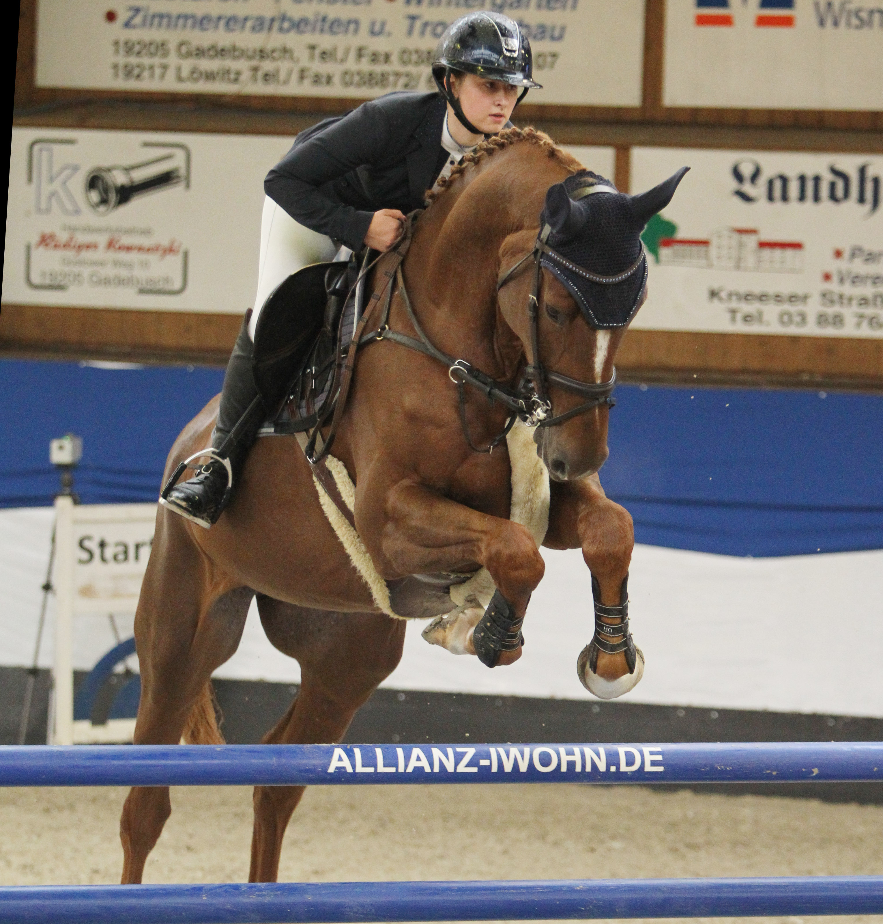 Zwei stilistische sehenswerte Runden lieferte Rica Marlene Scholz (Schloss Wendorf) im M-Stilspringen zur Qualifikation des Eggersmann-Junior-Cup, das sie mit 8,5 auf Dorian Grey gewann.